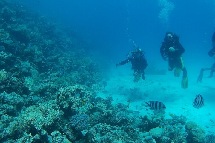 Private boat tour Hurghada