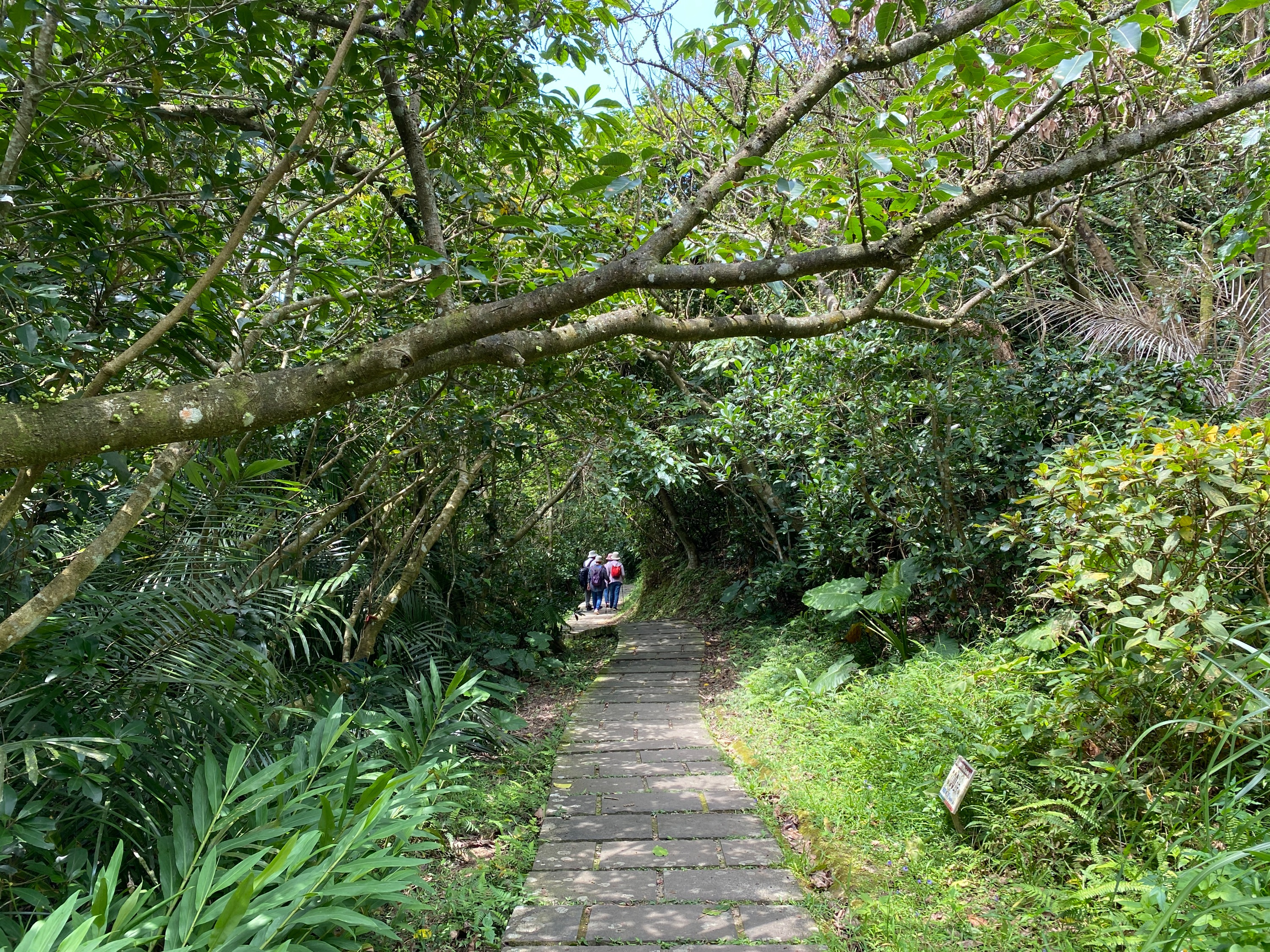 New Taipei: Northeast corner | Bitoujiao Park & San Diaojiao Lighthouse & Waiao Beach & Lanyang Museum