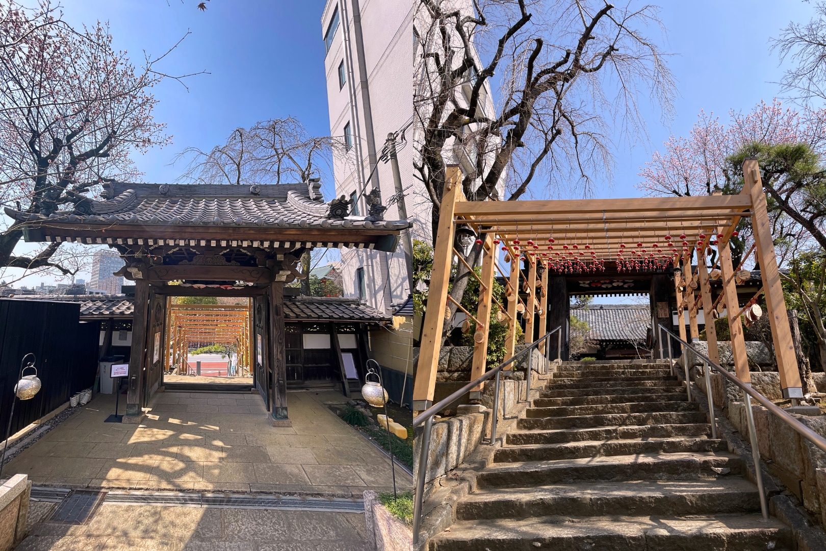 東京市，早稻田大學校園導覽徒步之旅
