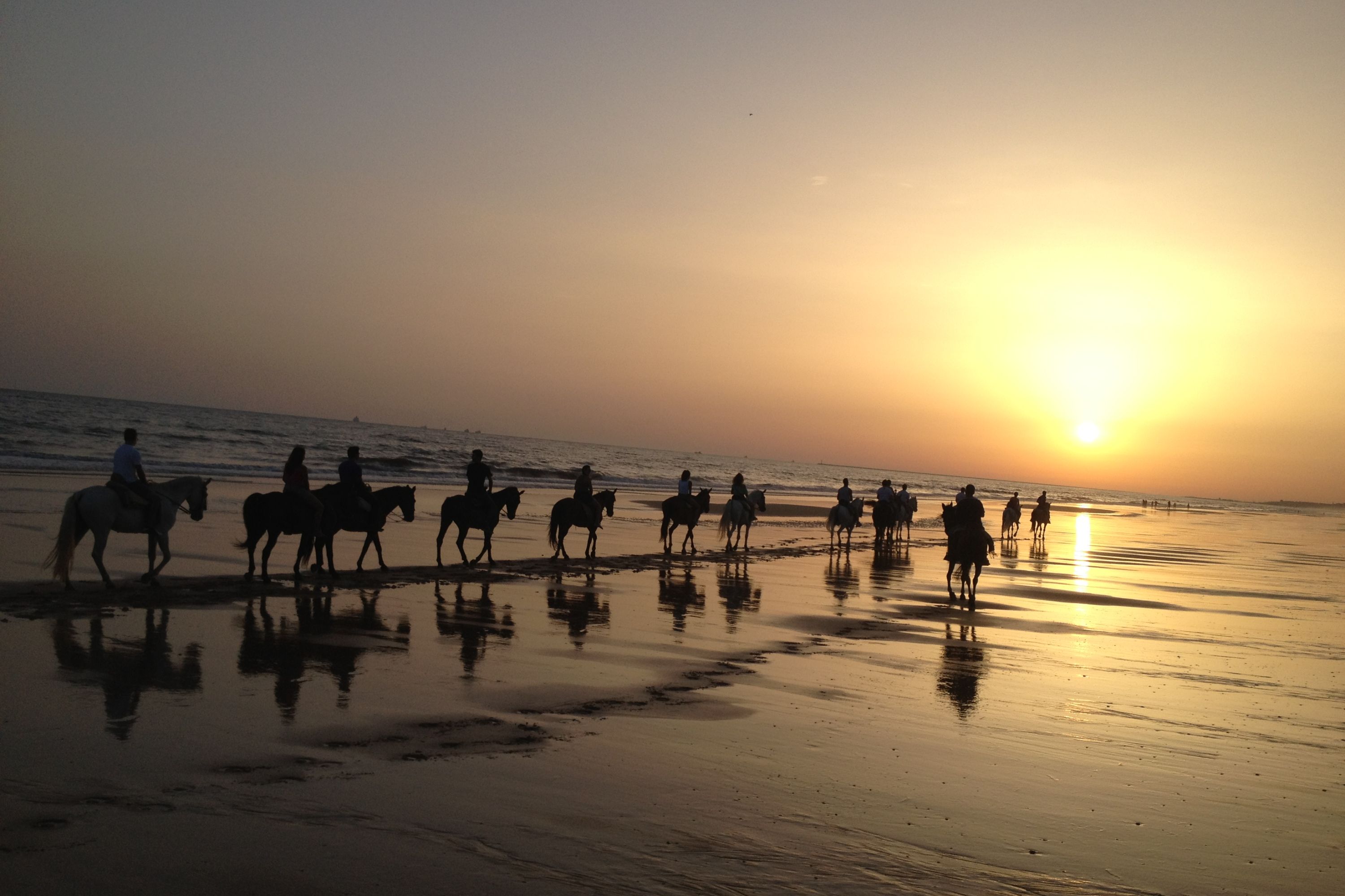 Donana National Park and El Rocio Village Day Tour from Seville