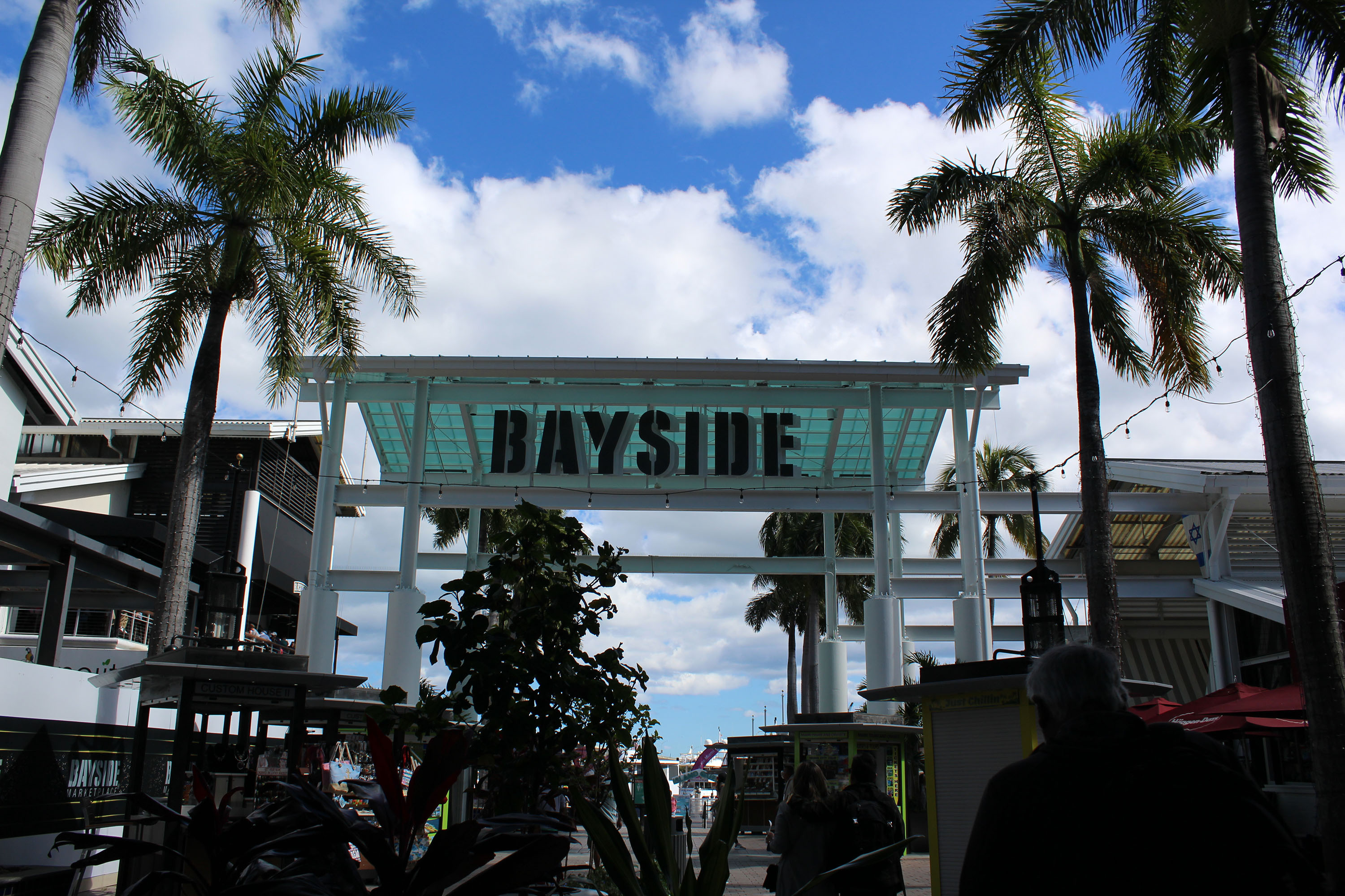 Miami Safari: All-in-1 Tour, Bus, Boat and Walking Best Discovery