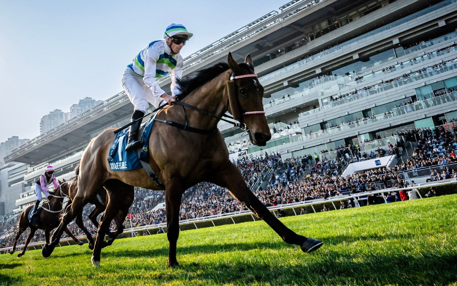 Hong Kong Horse Racing: Catch The Pulse