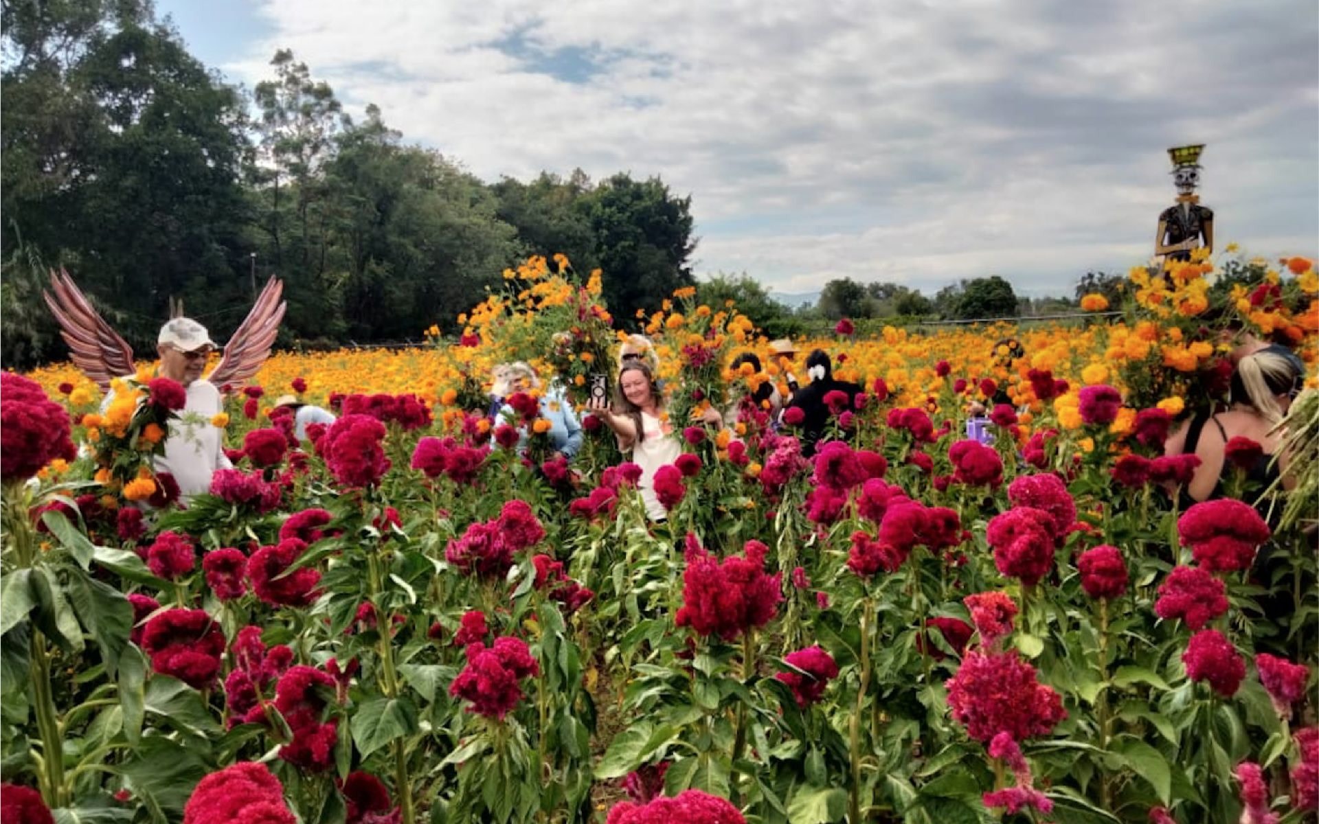 Altar of Memories Day of the Dead Cultural Experience in Oaxaca