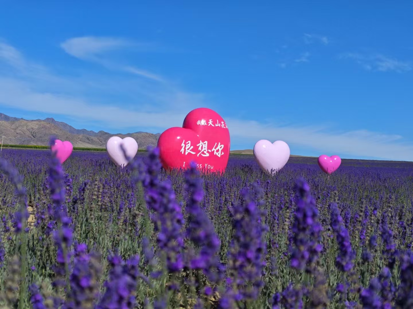新疆野奢北疆伊犁7日（克魯格營地+那拉提牧星谷+夏塔古道輕徒步+賽里木湖環湖遊+獨庫公路+那拉提草原下午茶+特克斯八卦城+夏日贈旅拍）