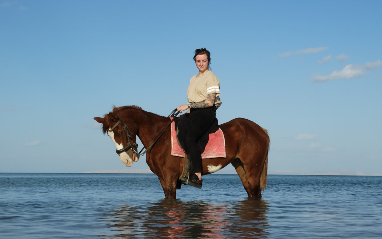 Horse Riding and Swimming Experience in Hurghada