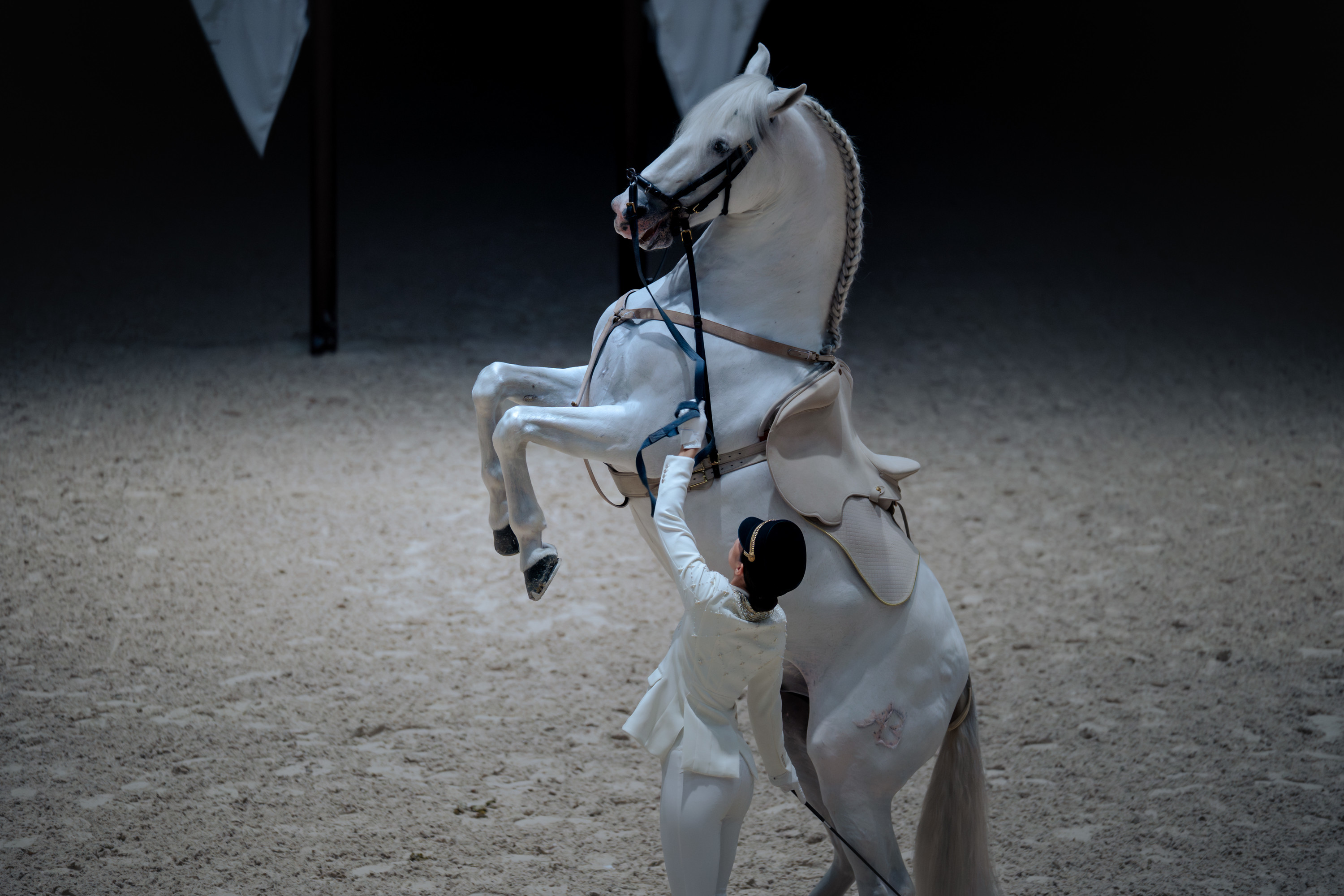 Фурусия: Возвращение к истокам - Билет на шоу ADREA