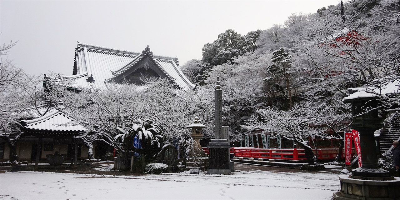 和歌山城·紀三井寺·黑潮市場·貴志站貓站長·白濱円月島·千畳敷·三段壁·白良濱·toretore市場·崎之湯二日遊｜大阪出發