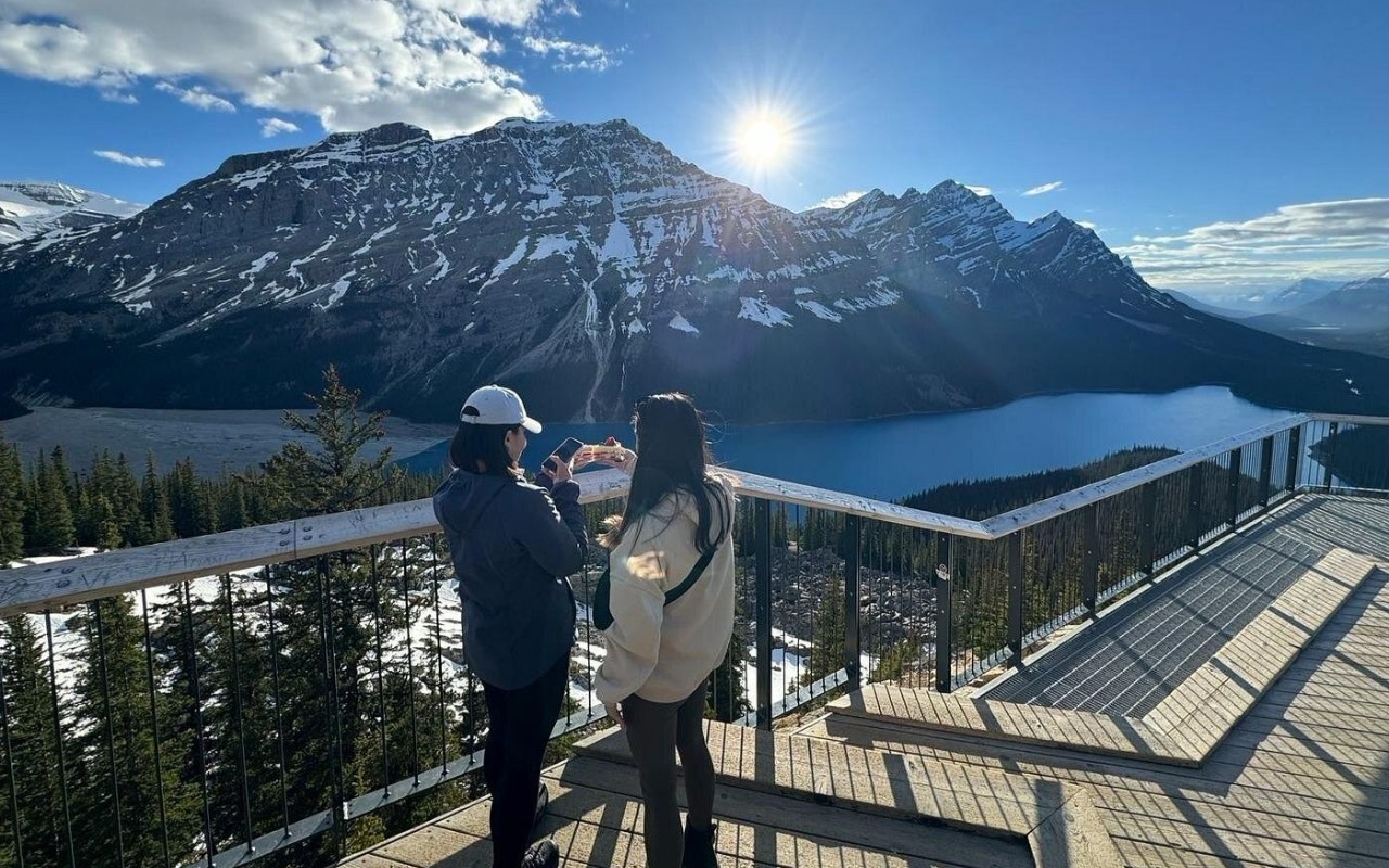 Peyto and Louise Lake Half-Day Tour from Canmore or Banff