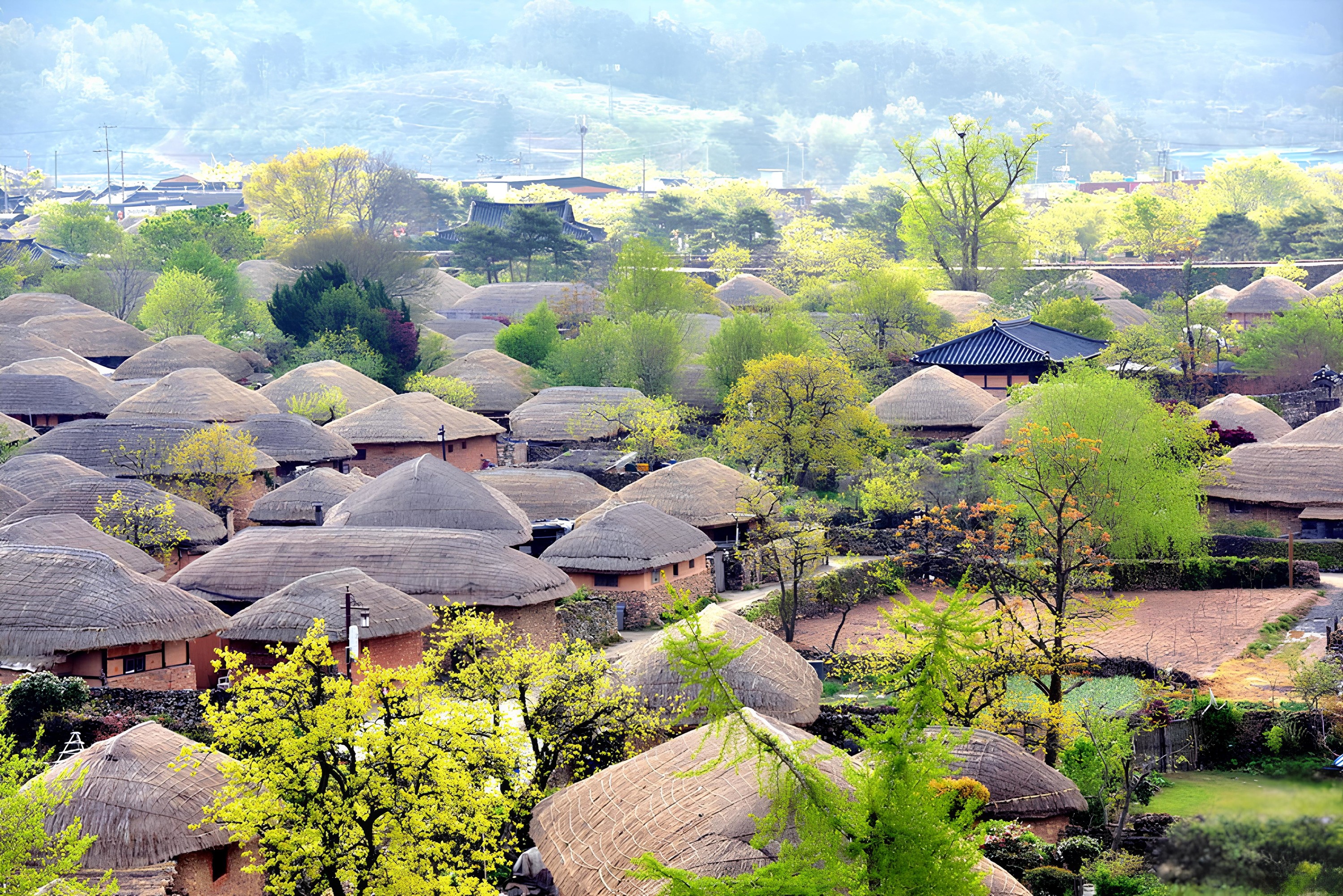 Busan Suncheon Bay & Seonamsa Temple Small Group Tour