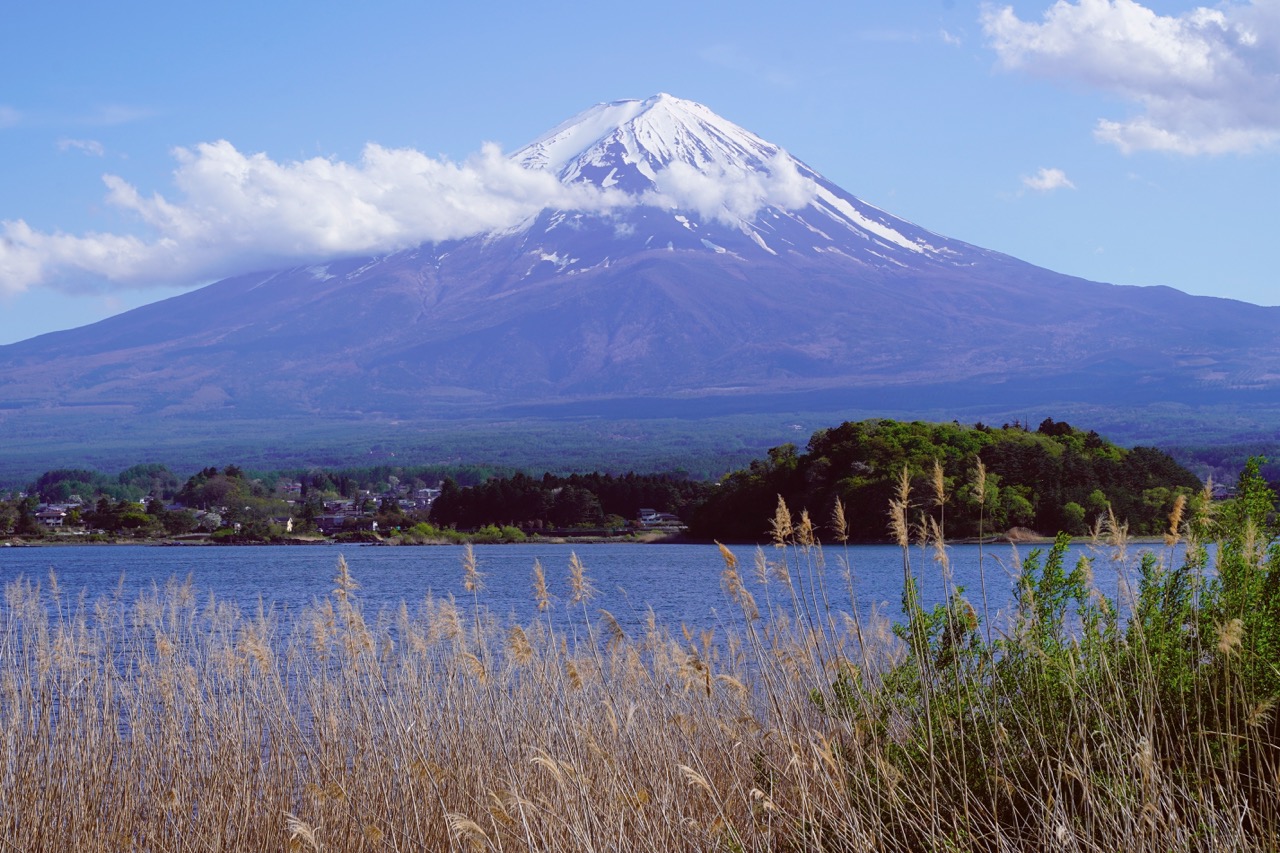 富士山賞花熱門打卡一日遊｜五合目&忍野八海&新倉山公園&日川時計店&河口湖大石公園&御殿場奧特萊斯（多線路可選）