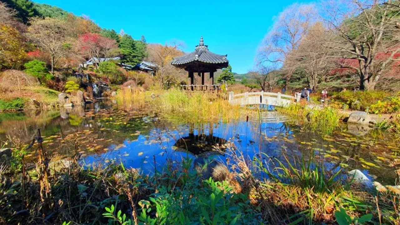 晨靜樹木園不僅僅是一個賞花之地。這裡森林環繞,園林景觀優美,遊客可以在加平之旅中放慢腳步,享受寧靜的氛圍,沉浸在大自然中,度過一段平和的時光。 晨靜樹木園不僅僅是一個賞花之地。這裡森林環繞,園林景觀優美,遊客可以在加平之旅中放慢腳步,享受寧靜的氛圍,沉浸在大自然中,度過一段平和的時光。