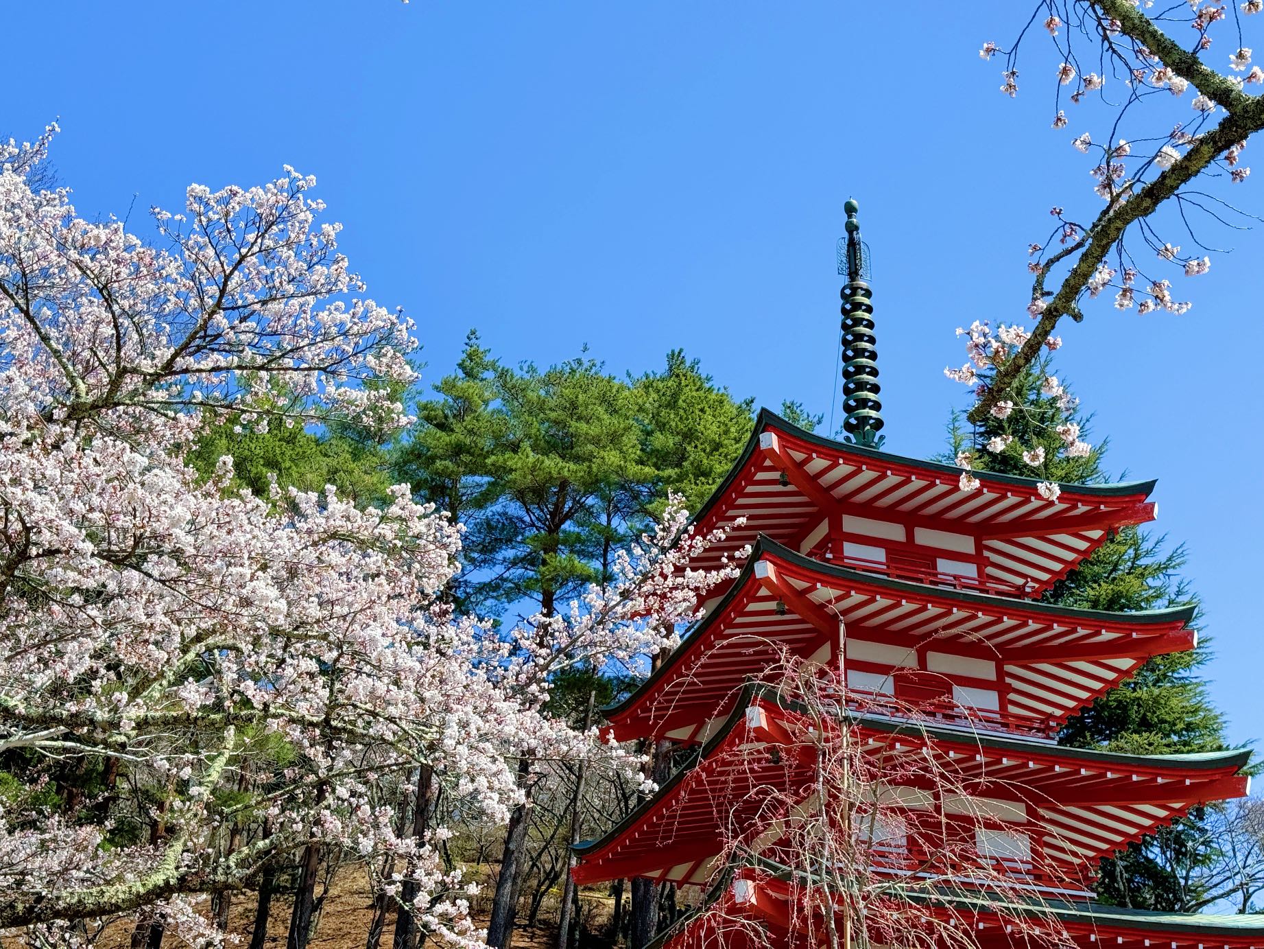 富士山網紅打卡一日遊｜河口湖纜車&羅森便利店&忍野八海&新倉山公園（含纜車門票）