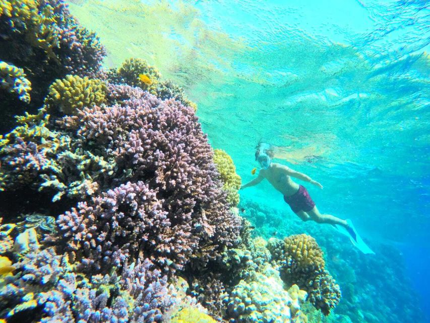 Marsa Alam: Hamata Islands Snorkeling Trip with Lunch