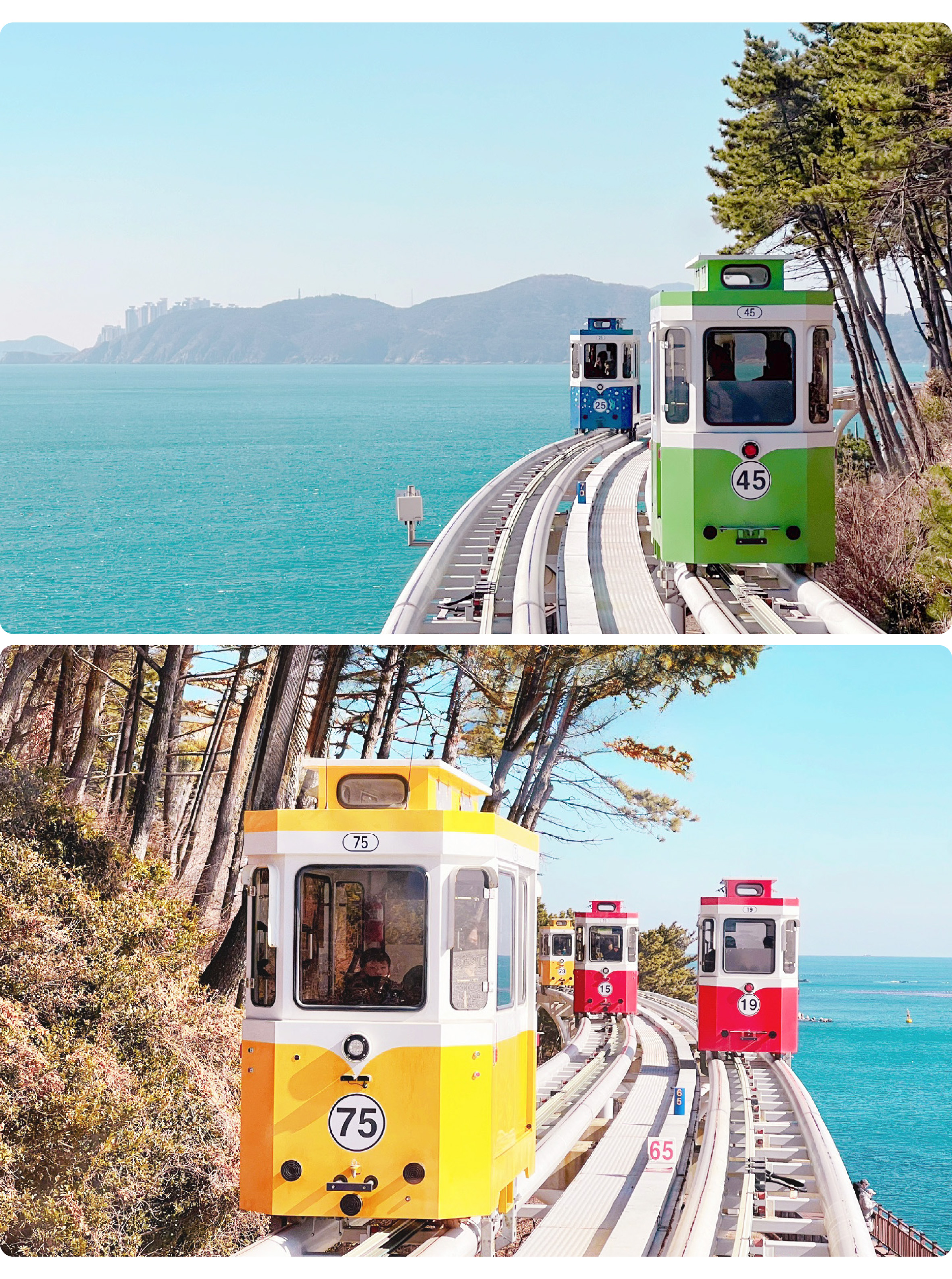 海雲臺天空膠囊列車&追逐櫻花一日遊（釜山出發）