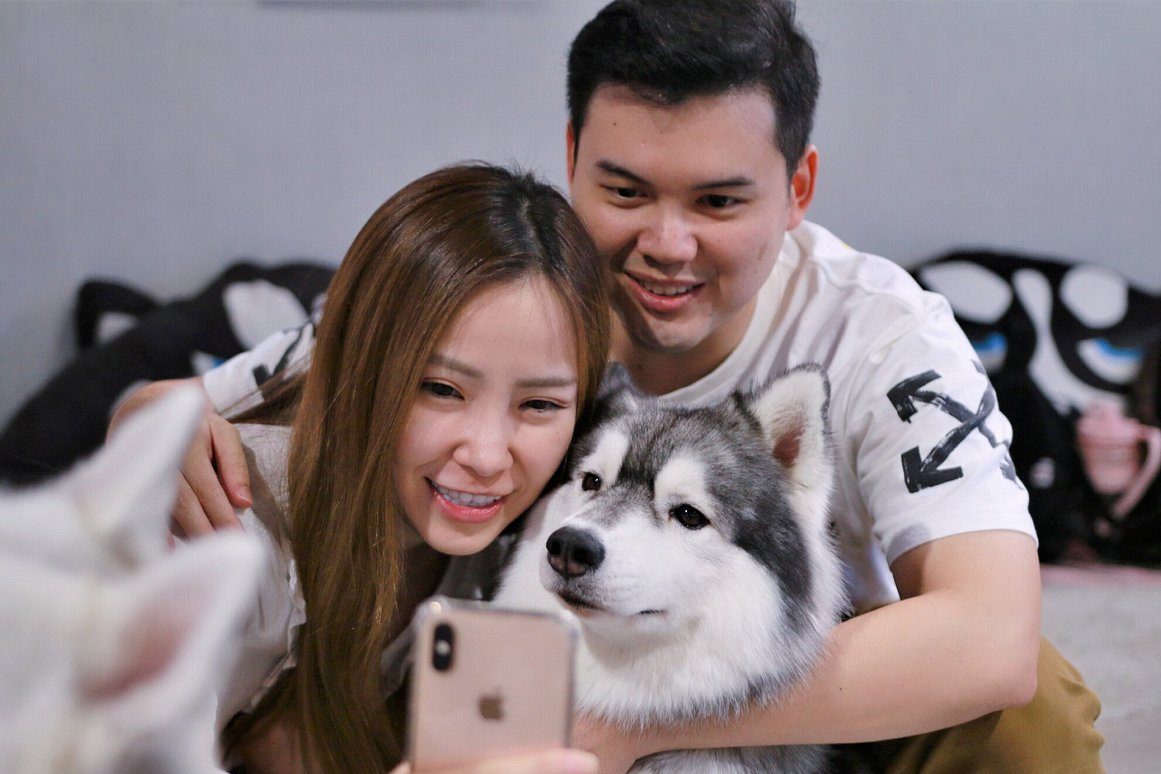 馬六甲哈士奇和柴犬體驗中心 (Siberian Husky and Shiba Inu Experience Centre in Melaka)