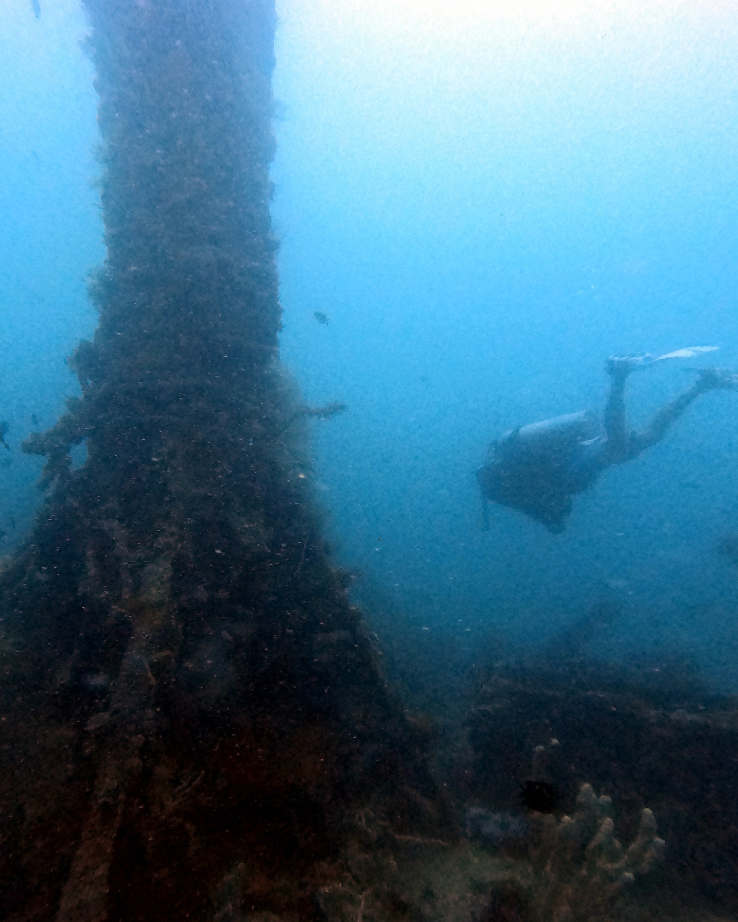 PADIアドバンスドオープンウォーターダイバーコース（コロン / PADI5スターダイブリゾート）