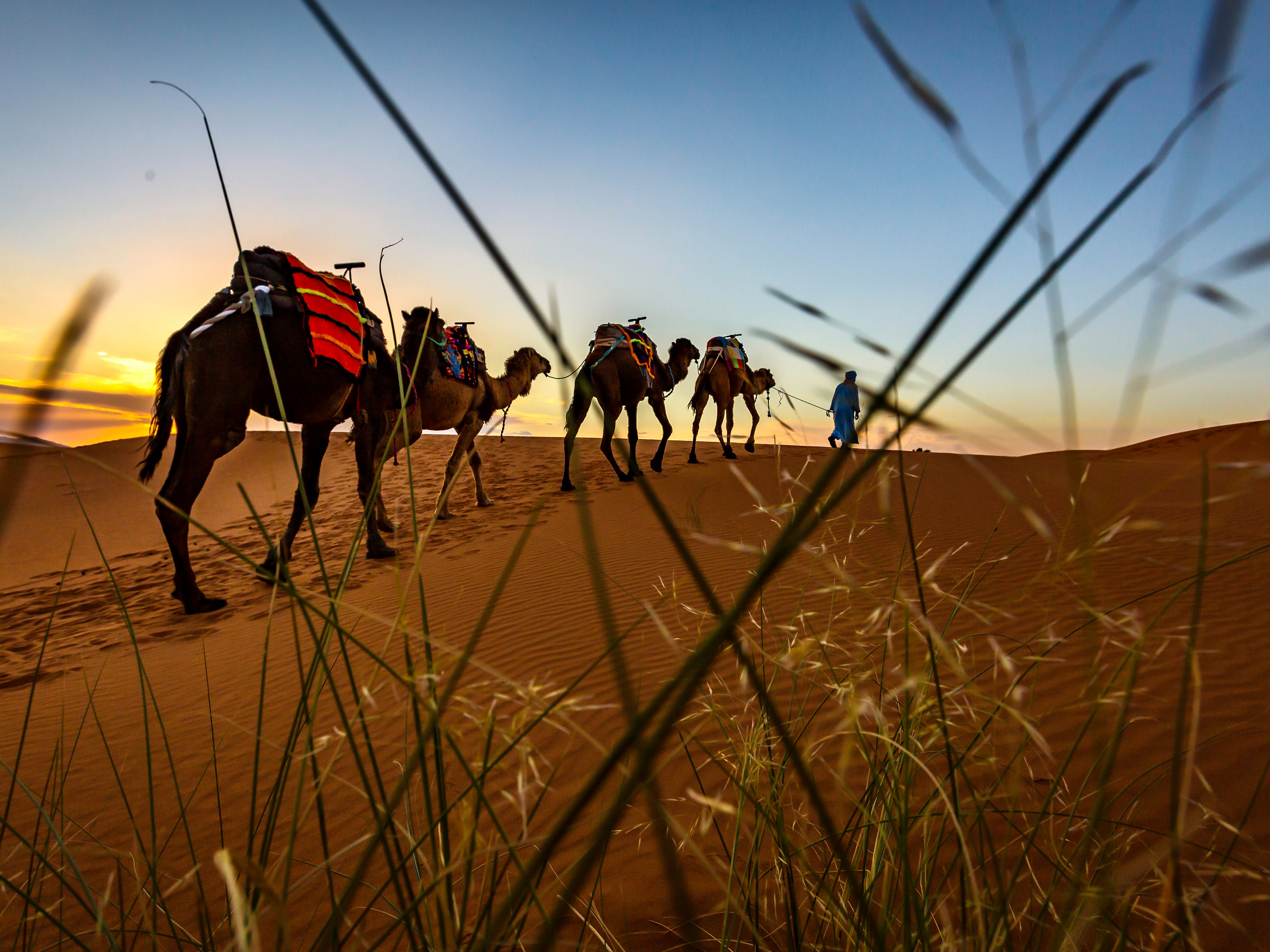 2-Day Private Desert Tour Marrakech to Zagora, Camel Trek & Lux Camp