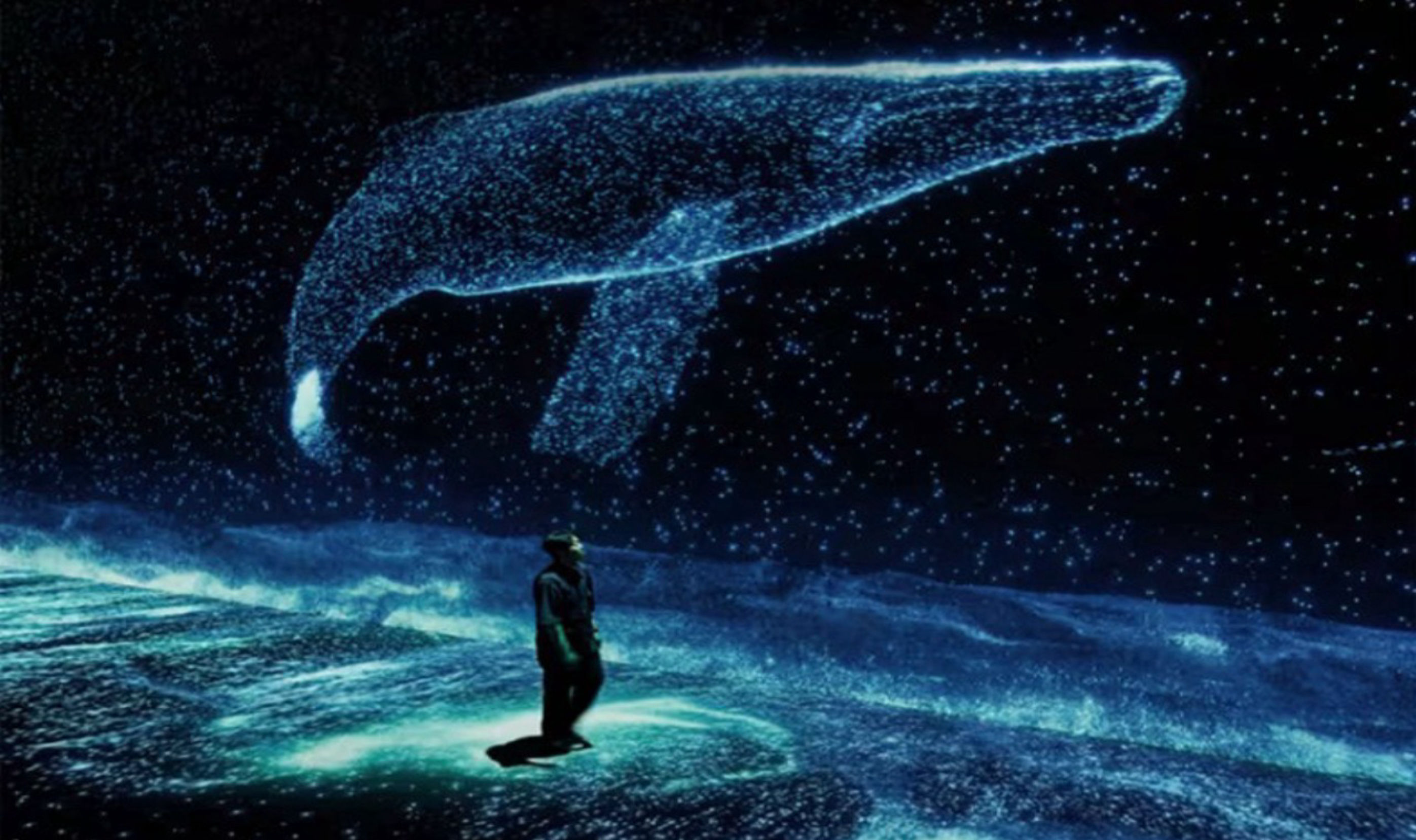 Arte Museum : An Immersive Media Art Exhibition in NYC