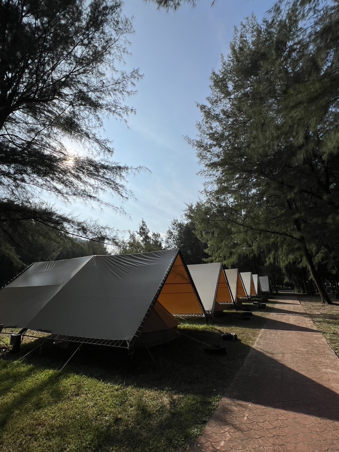 Miaoli Camping: Shanwuling - Nordic bell-shaped tent-free camping experience