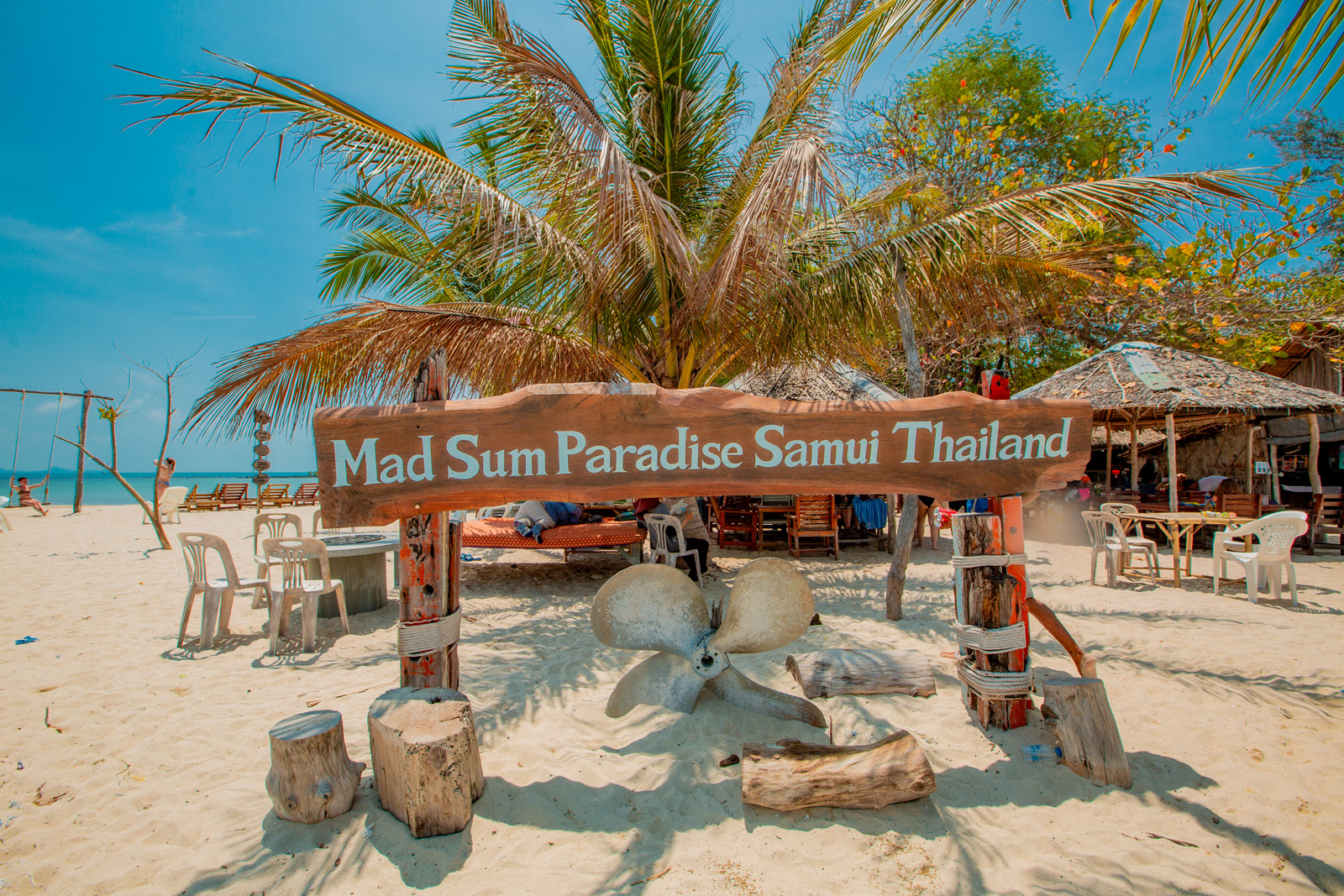 Koh Samui : Pig and Tan Island Snorkel Tour With Lunch and Transfers