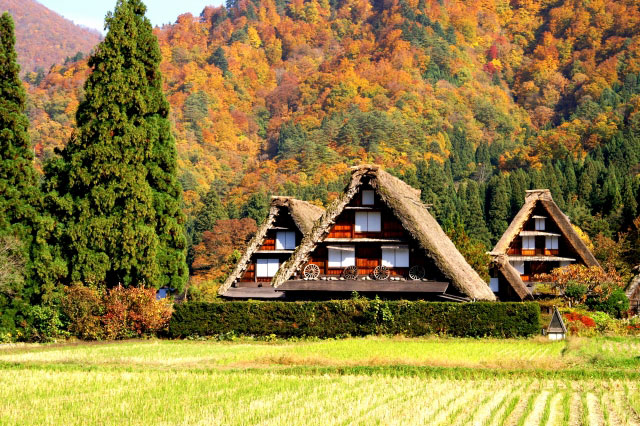 世界遺產白川鄉＆上高地or富山河口湖秘境2日遊（東京出發）