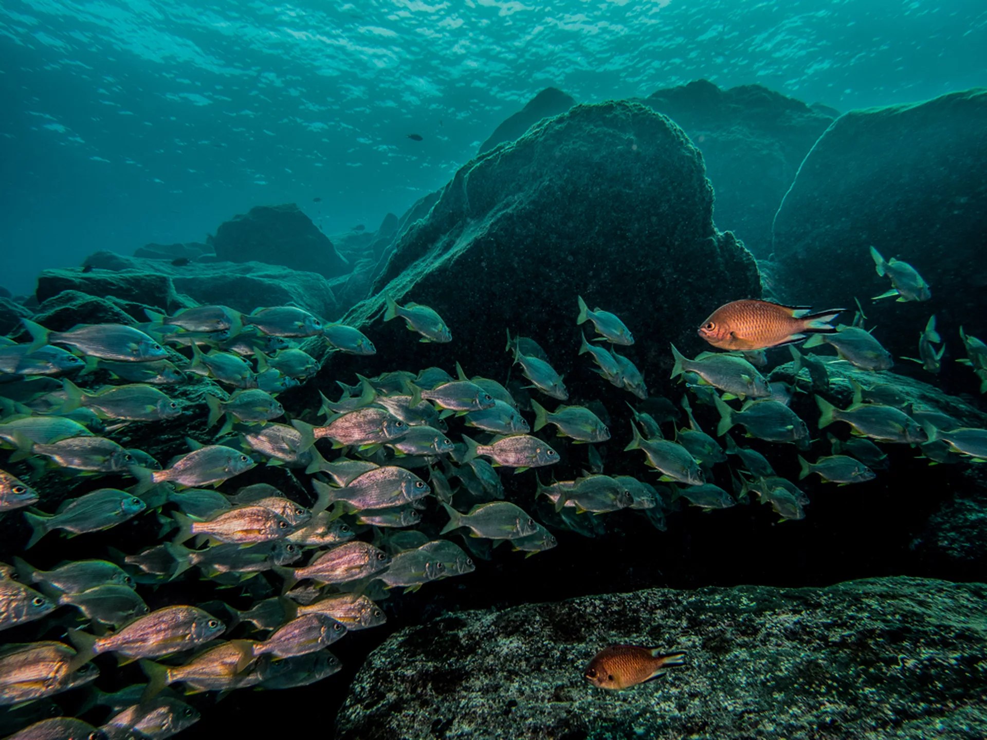 Lanzarote Dive Experience: Discover Scuba with PADI 5* Dive Center