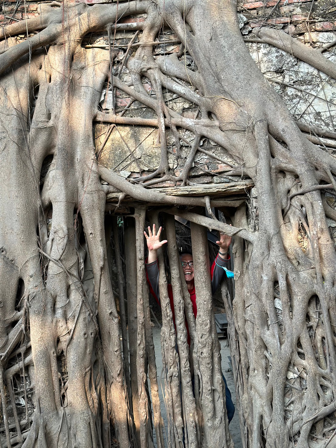 Taichung & Kaohsiung One Day Tour (Korean Guide)