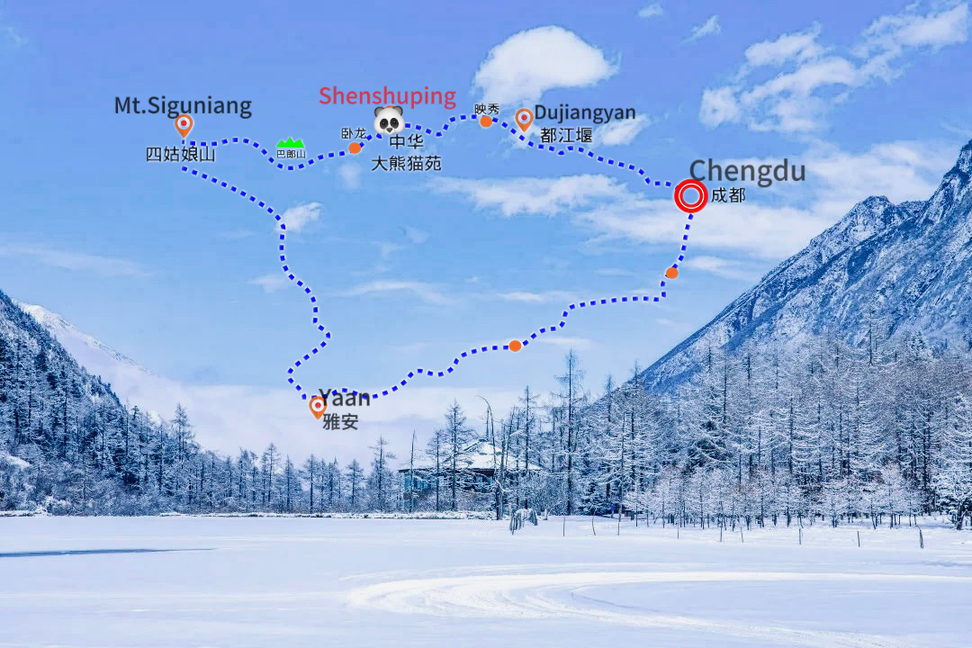 臥龍神樹坪大熊貓基地一日遊/包車 私家團 /可預約“大熊貓愛心志願者”活動