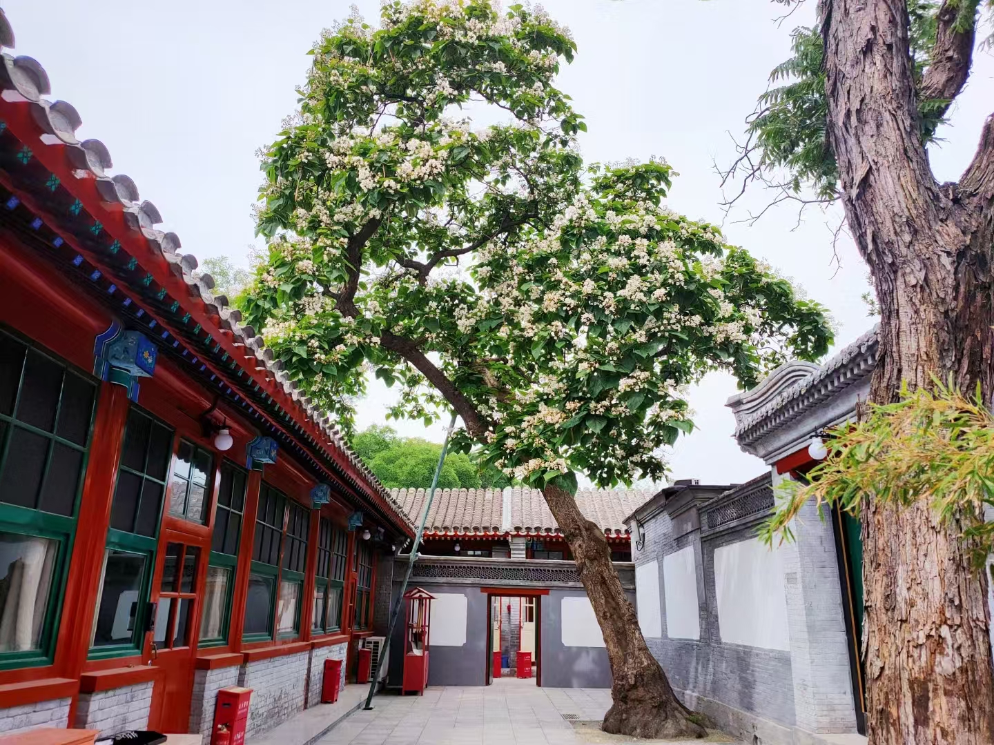 Beijing Rickshaw Experience Tour (Shichahai/Prince Gong's Mansion/Hutong Tour)