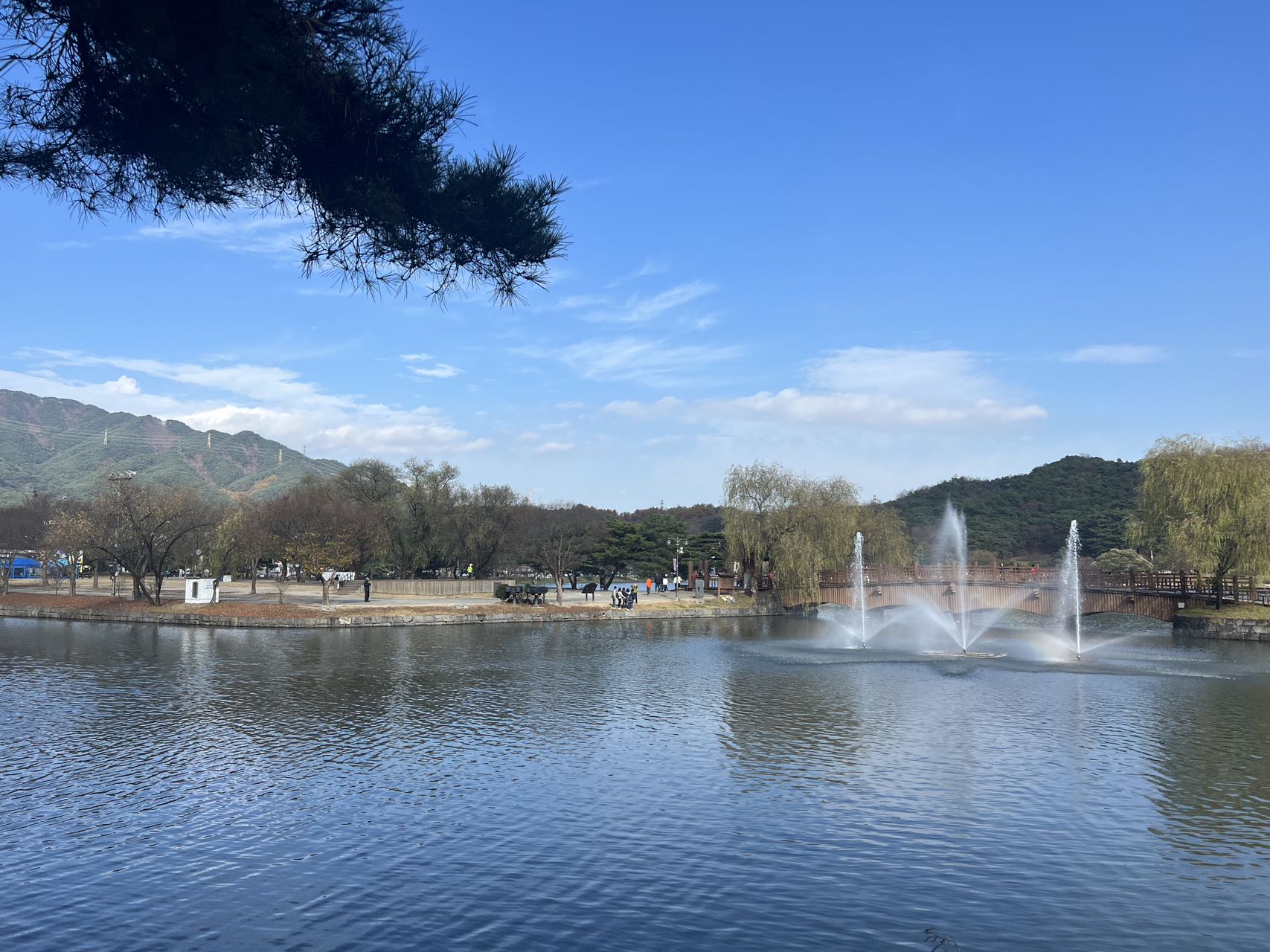 平靜的水面上，松樹和亭臺的倒影宛如一幅傳統水墨畫。