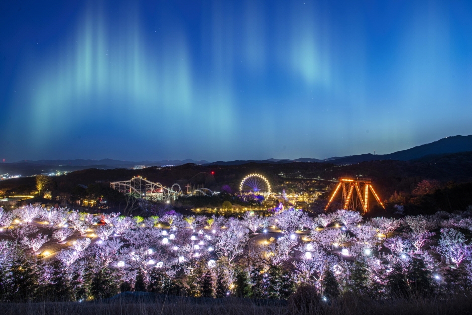 首爾愛寶樂園 (Everland) 夜間導覽，包含所有費用