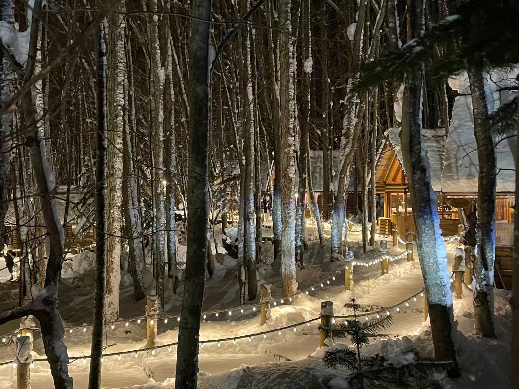 雪林裡的木屋群，被琥珀色燈光一盞盞點亮。