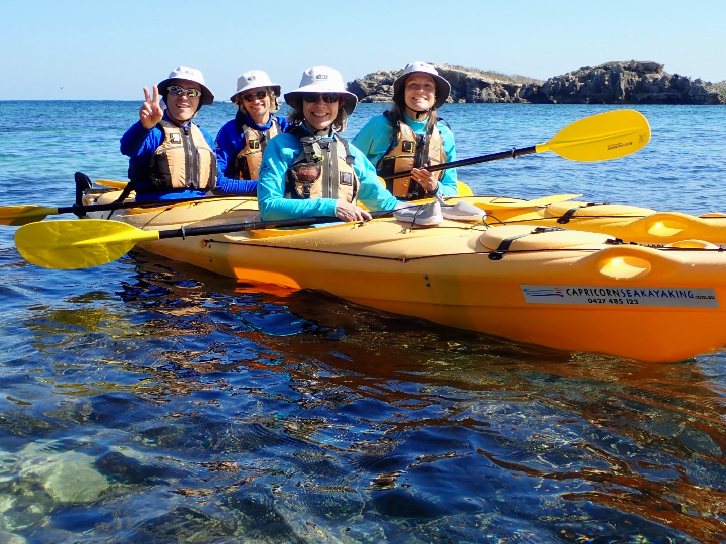 企鵝島＆海豹島海上獨木舟之旅（伯斯出發）