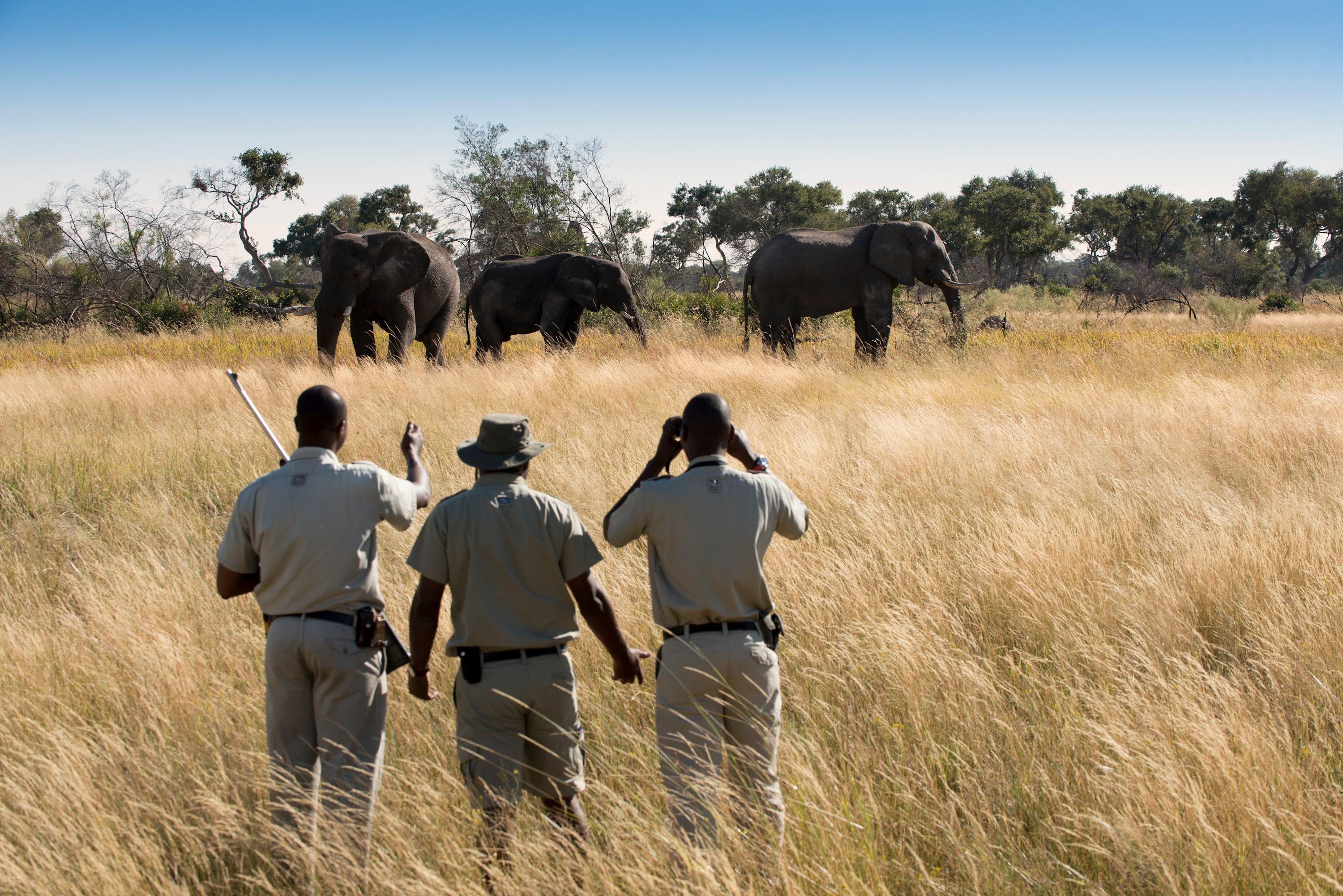 Windhoek Etosha National Park 3-Day Private Safari
