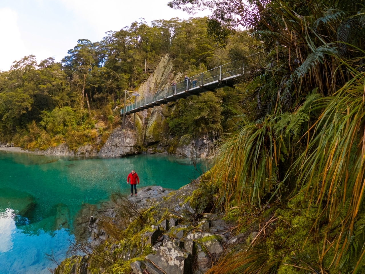 Christchurch to Queenstown via Franz Josef 2 Day Tour