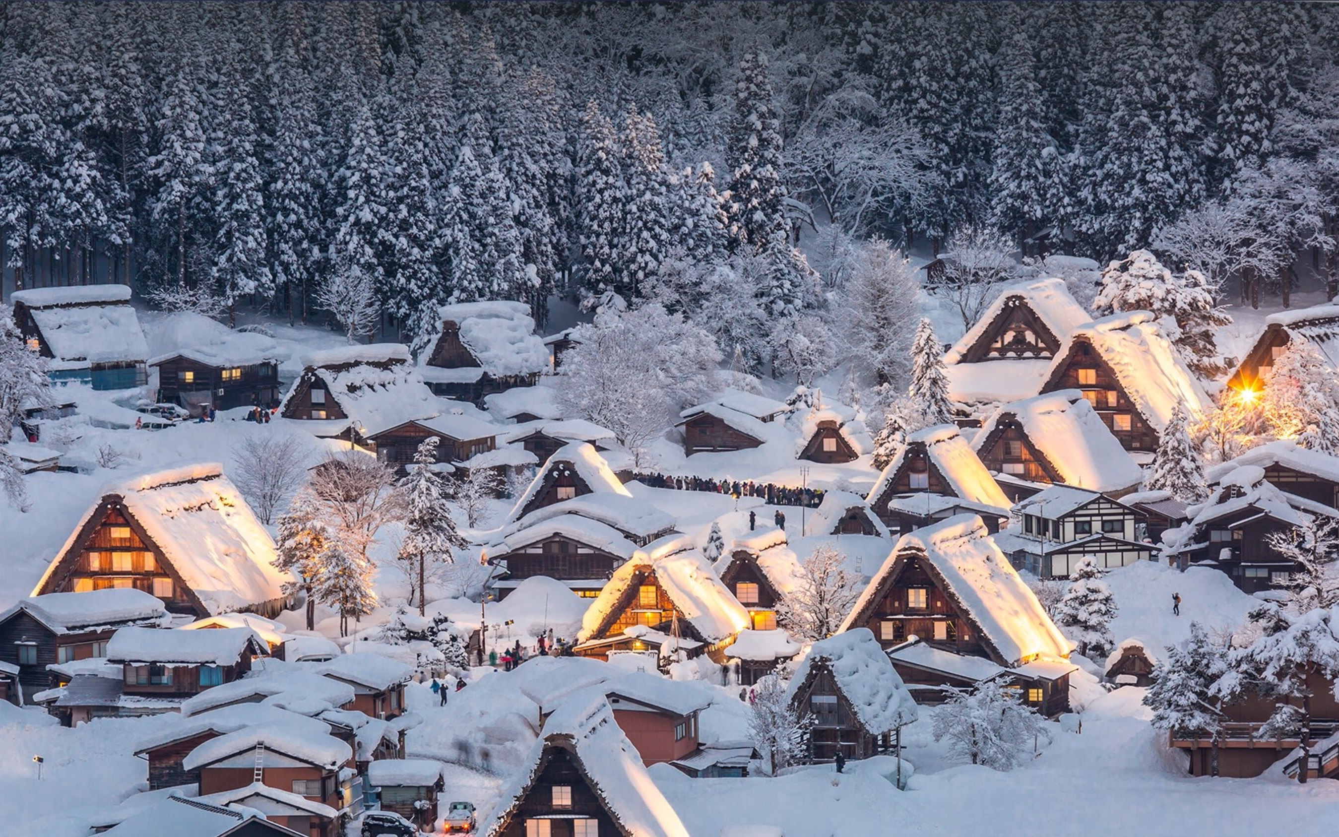 Shirakawa-go UNESCO Heritage Winter Tour