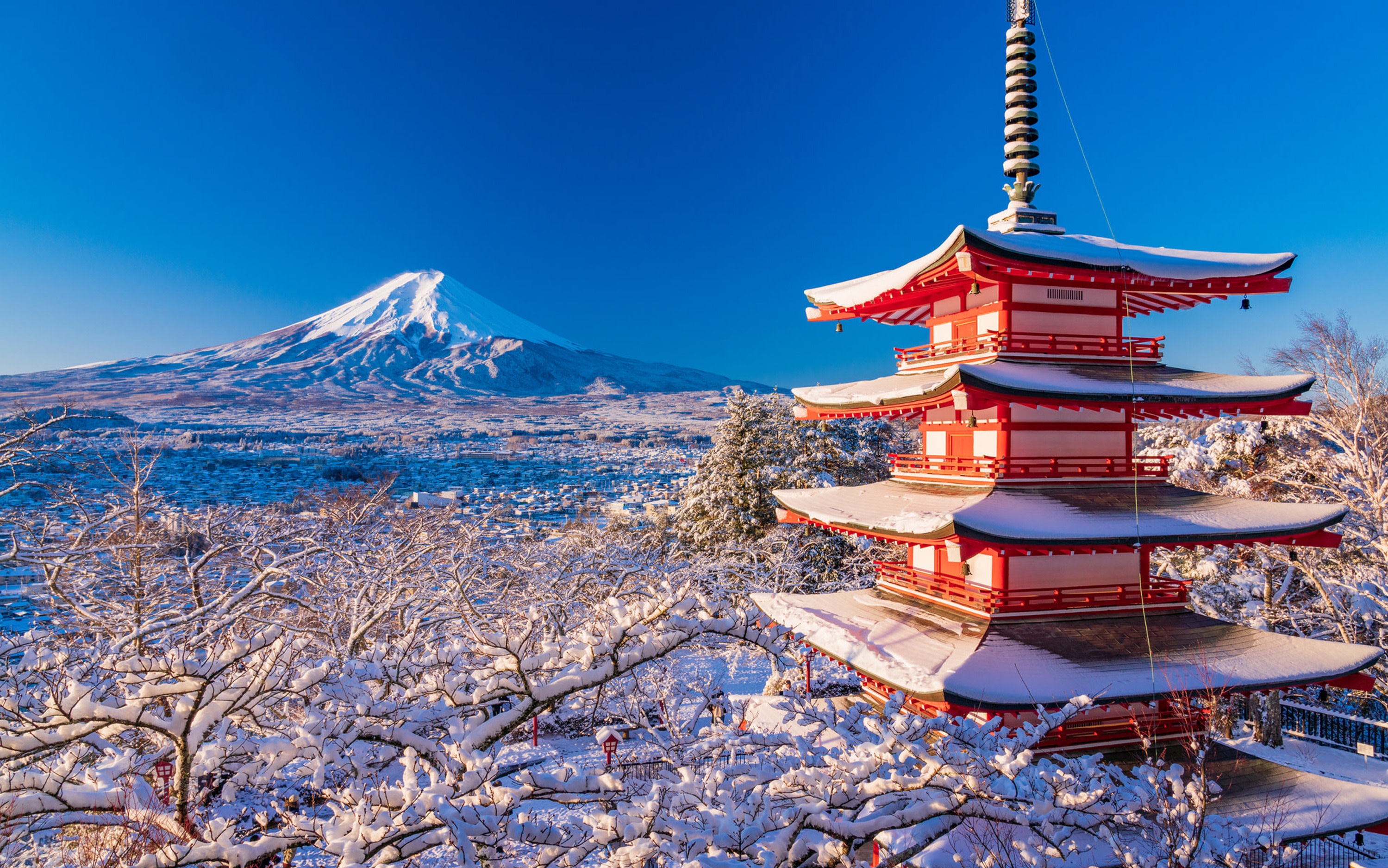 [Limited Time Special Offer] Mount Fuji Popular Scenic Spot Check-in Day Trip | Departure from Tokyo