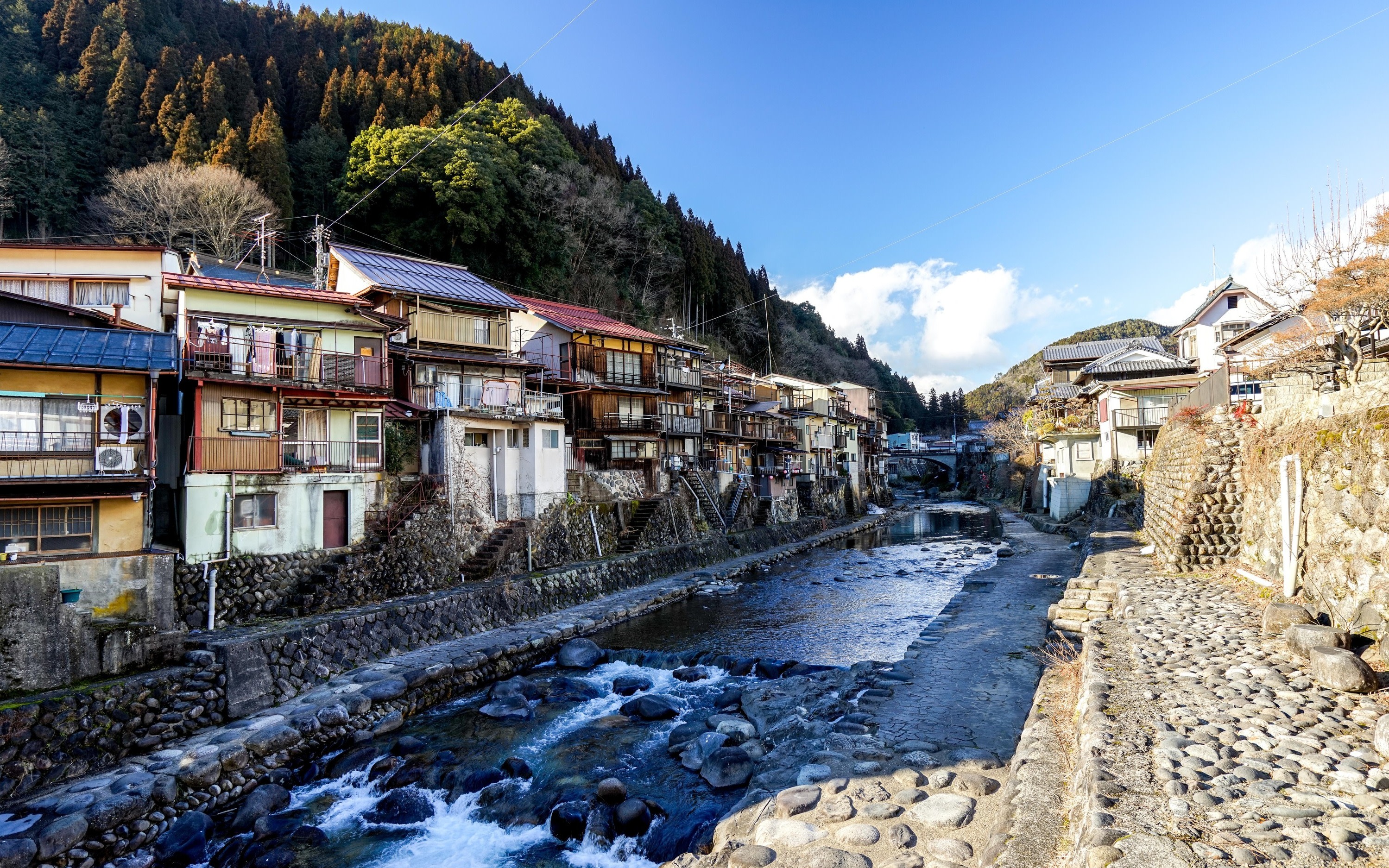 Gujo Hachiman & Bokuka no Sato Snow Resort + Onsen Day Trip