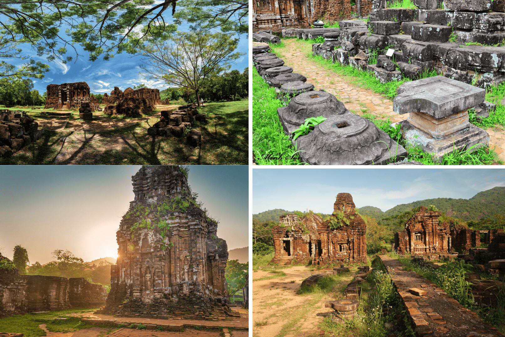 Amazing My Son Sanctuary Day Tour