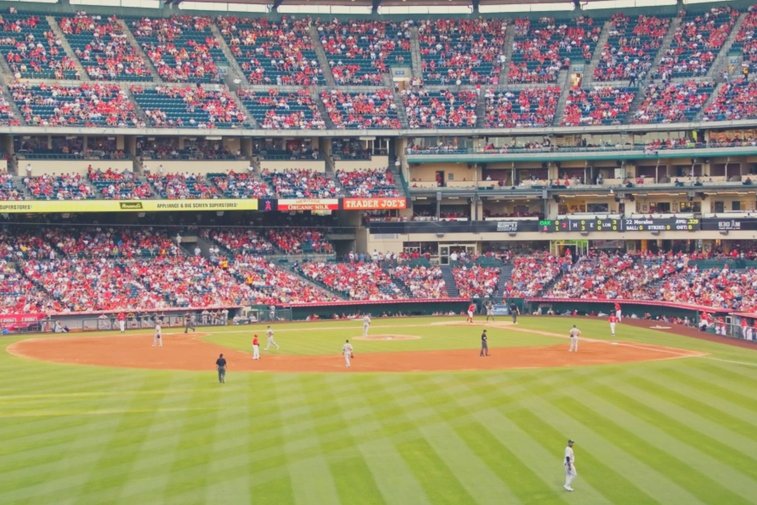 洛杉磯天使隊棒球比賽（Angel Stadium）