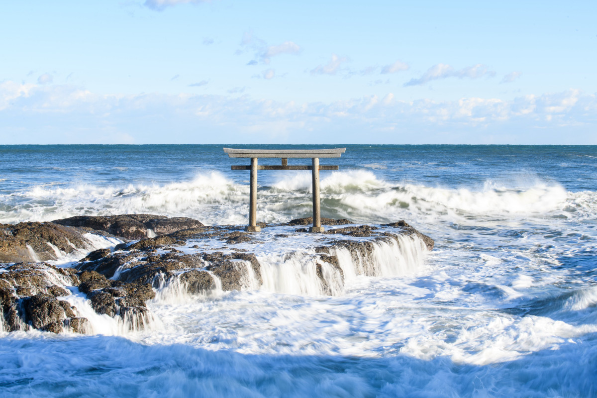 Ibaraki Flower Sea×Sea Torii×Hydrangea Temple×Seafood Market Panorama 1-Day Tour｜Chinese/English Tour Guide (Depart from Tokyo)