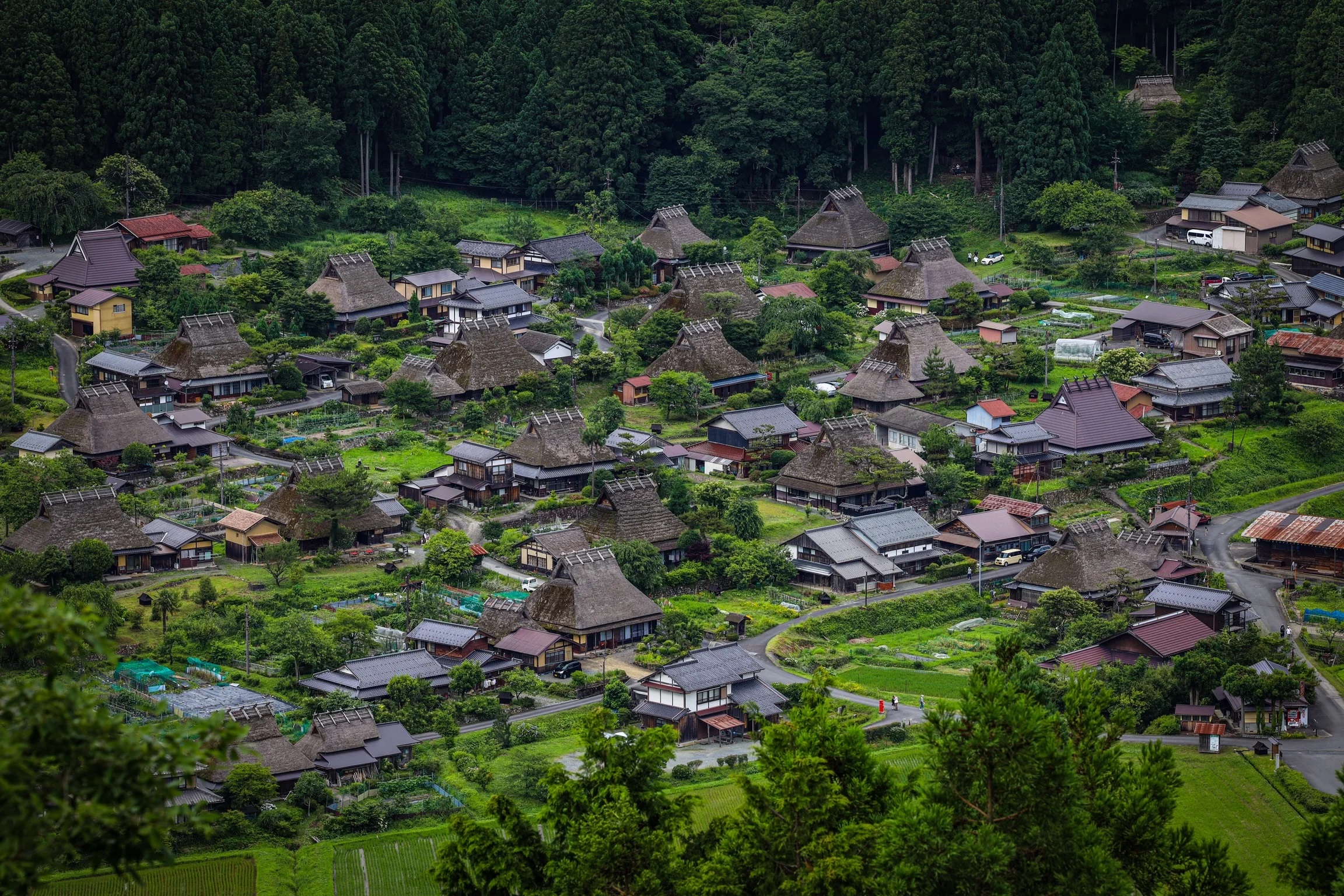 [Kyoto's Secret Gassho Village] Visit the Thatched Houses of Miyama Gassho Village + Amanohashidate Spectacular View + Ine Funaya Fishing Port + Funaya Days (Departing from Osaka)