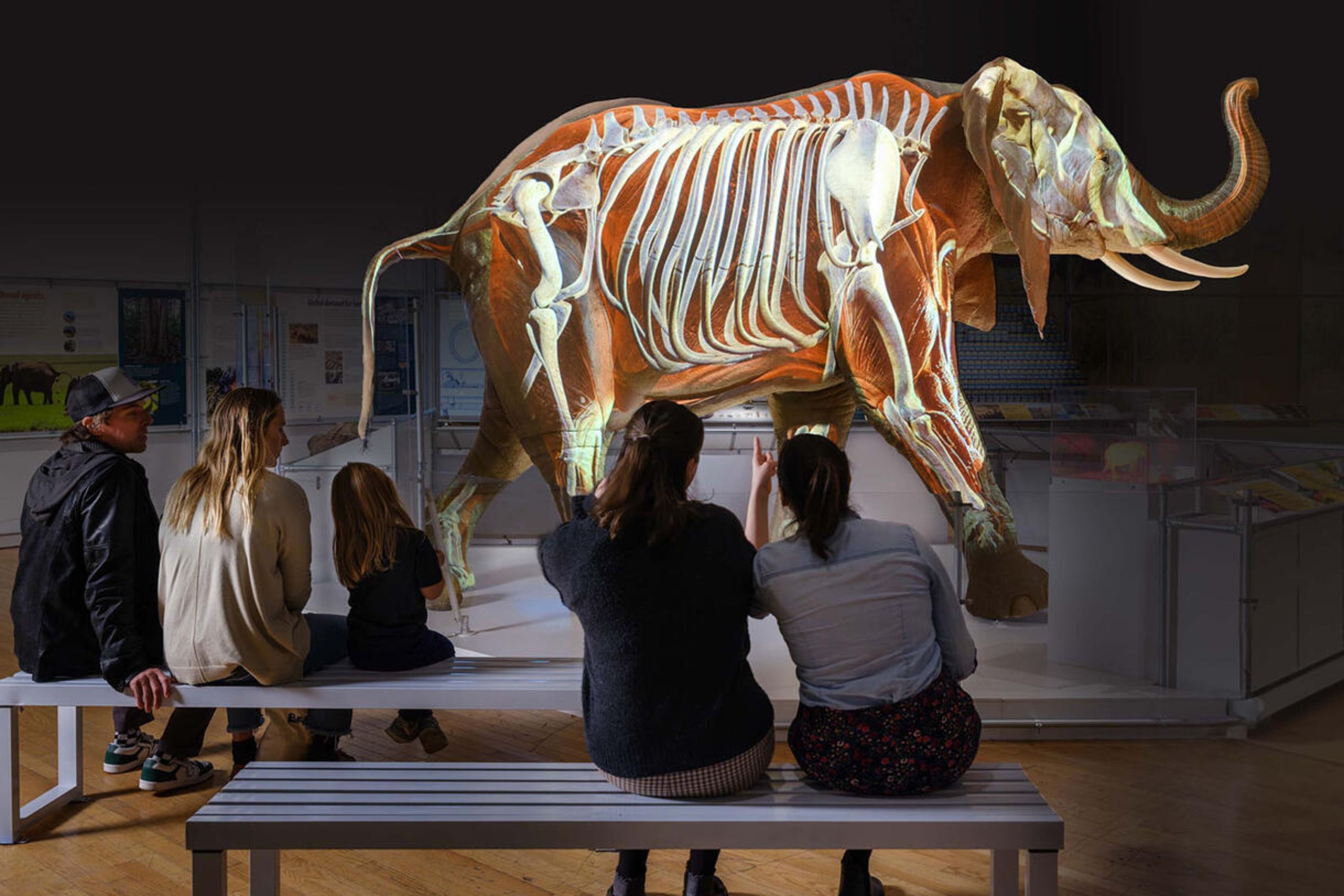 美國自然歷史博物館 (American Museum of Natural History) 門票