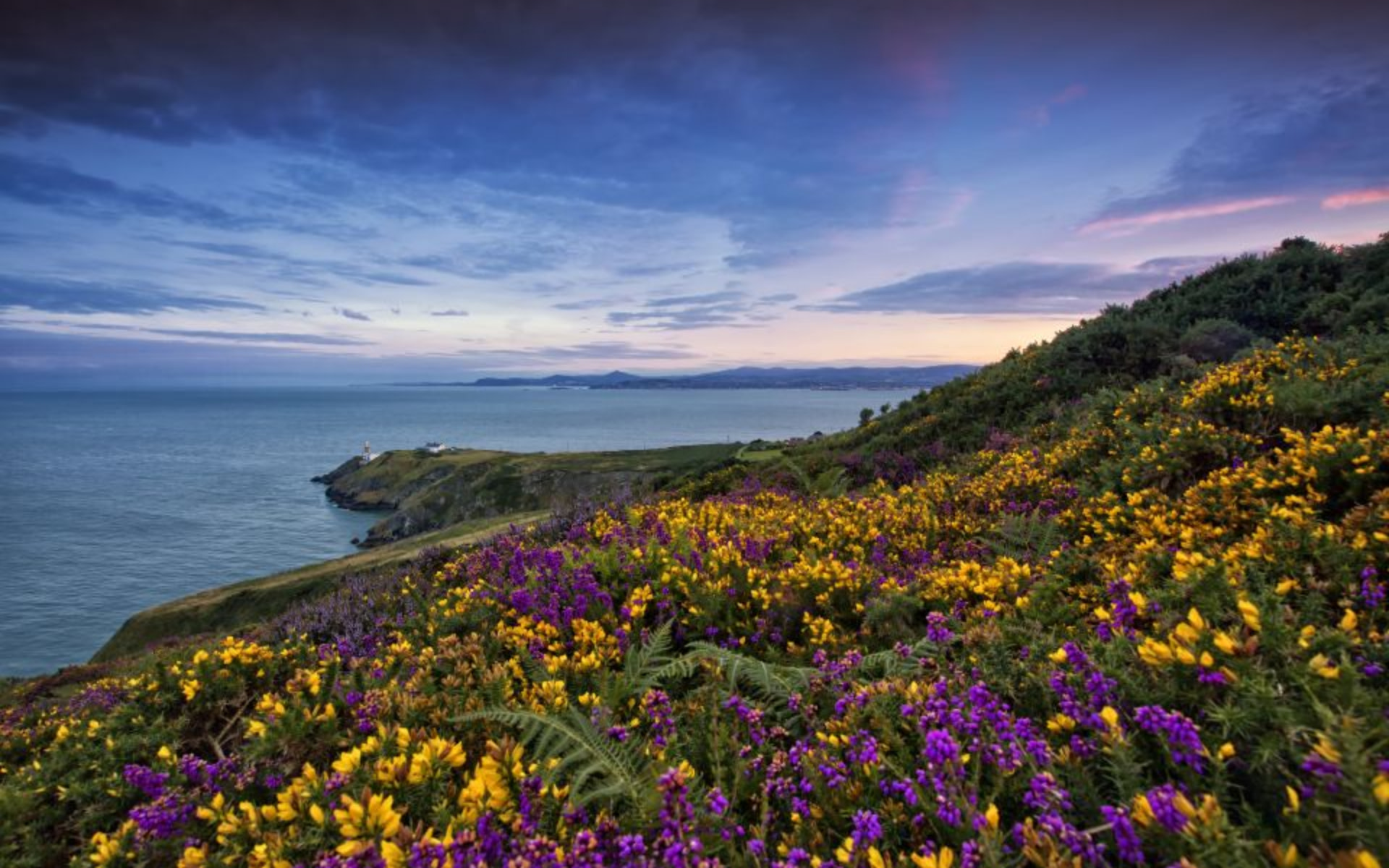 Howth half-day coastal tour from Dublin