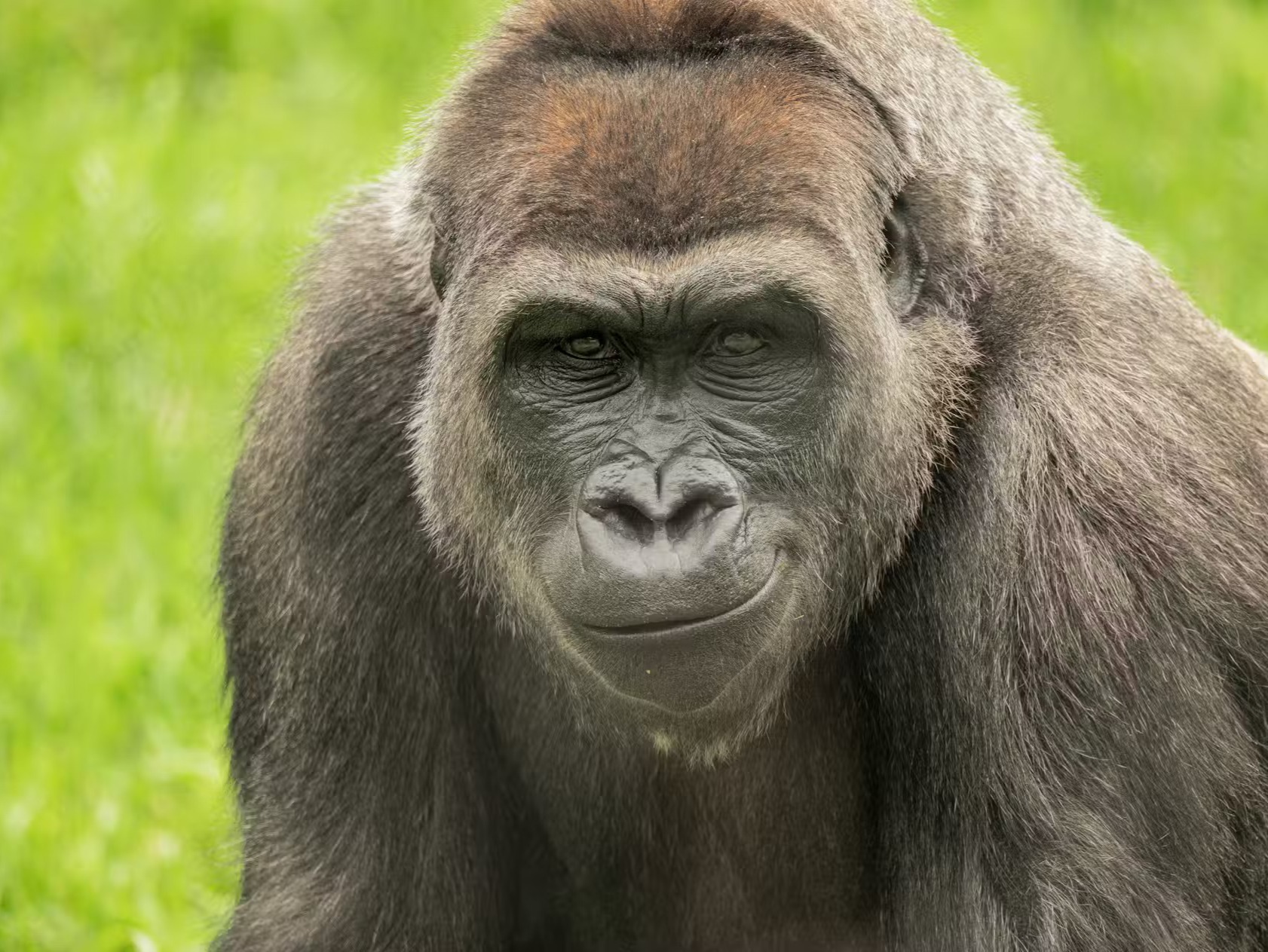 漫步於引人入勝的棲息地，近距離觀察令人驚嘆的物種，並激發您對自然世界的好奇心