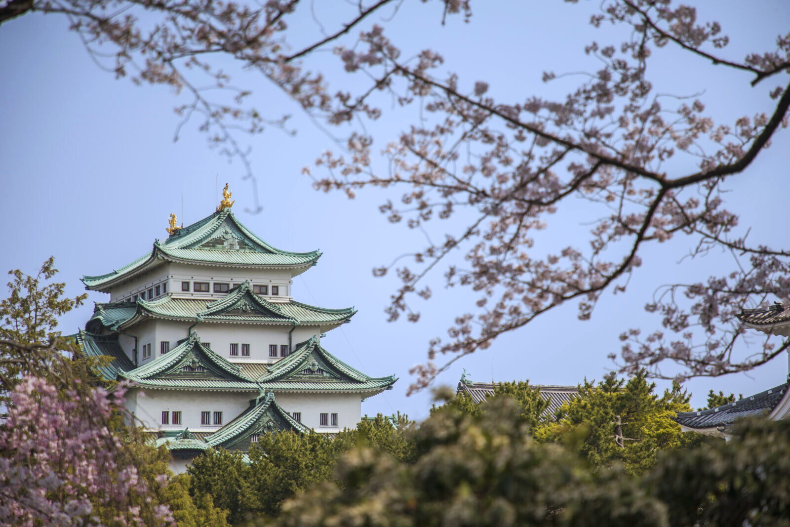 名古屋城、花園和歷史莊園導覽