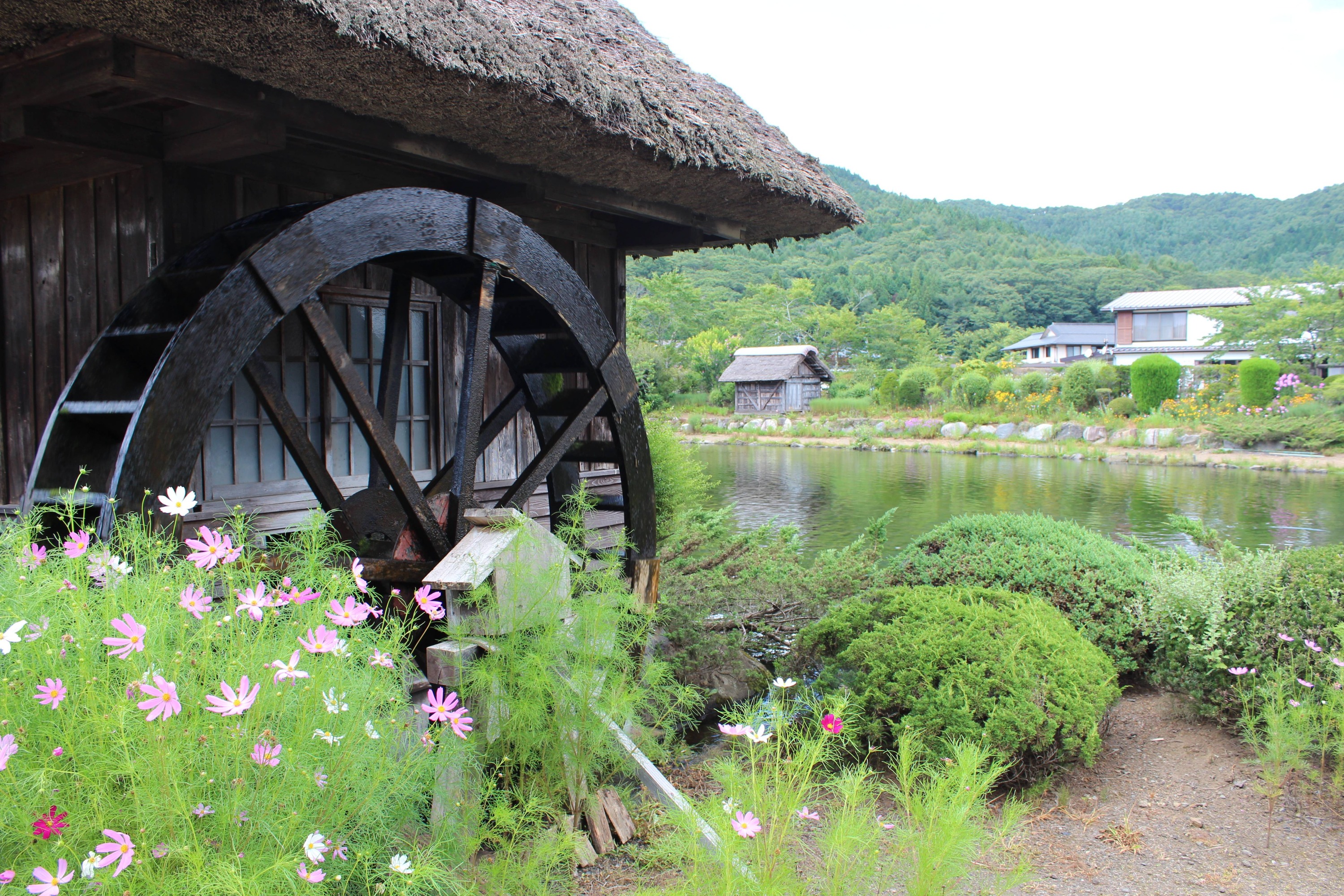 【富士山人氣打卡景點】富士山下網紅公園&日川時計店&羅森便利店&忍野八海＆大石公園一日遊 （東京站或新宿站出發）