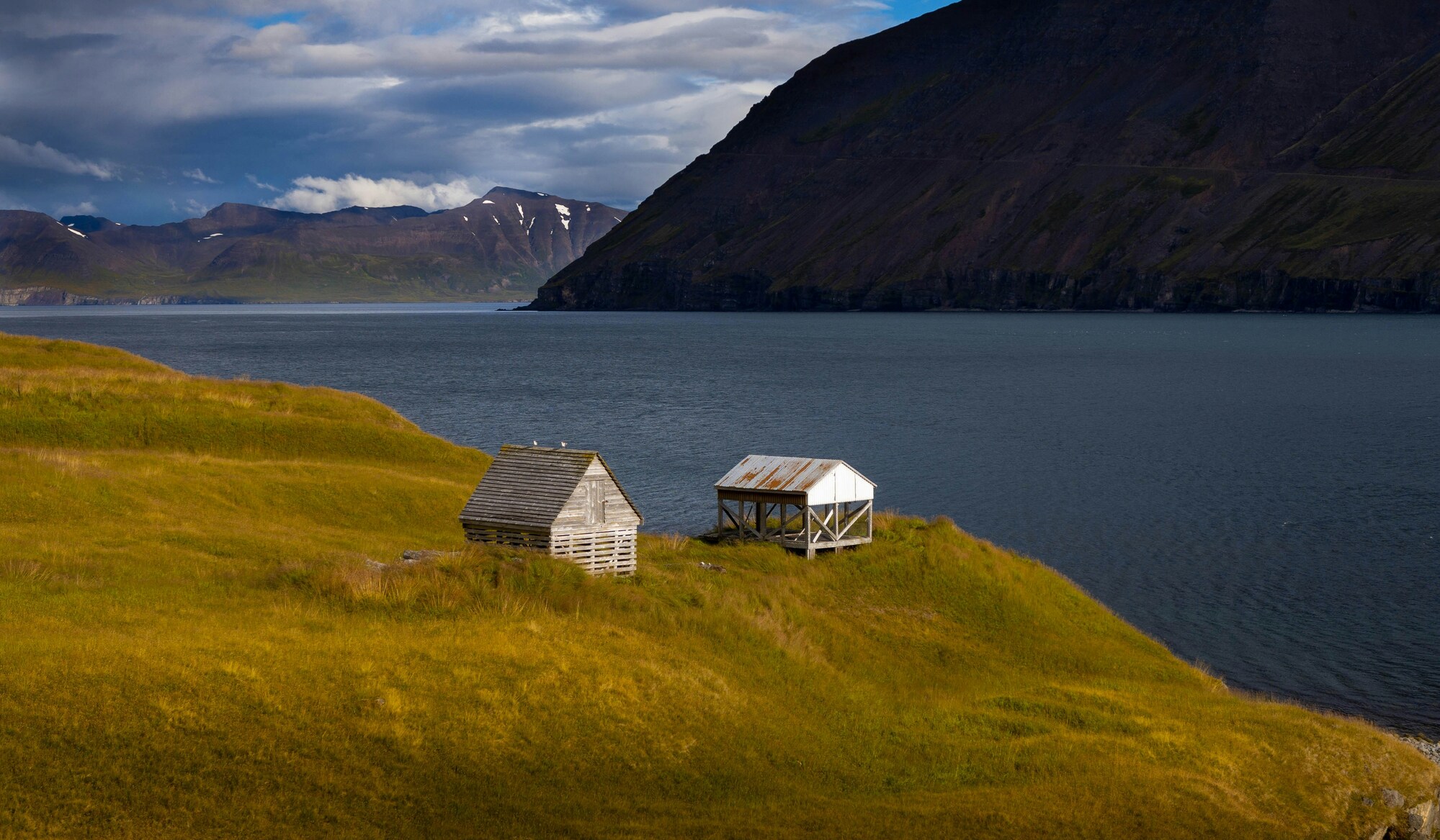 Akureyri: Private Whale Watching and Arctic Coastline Tour