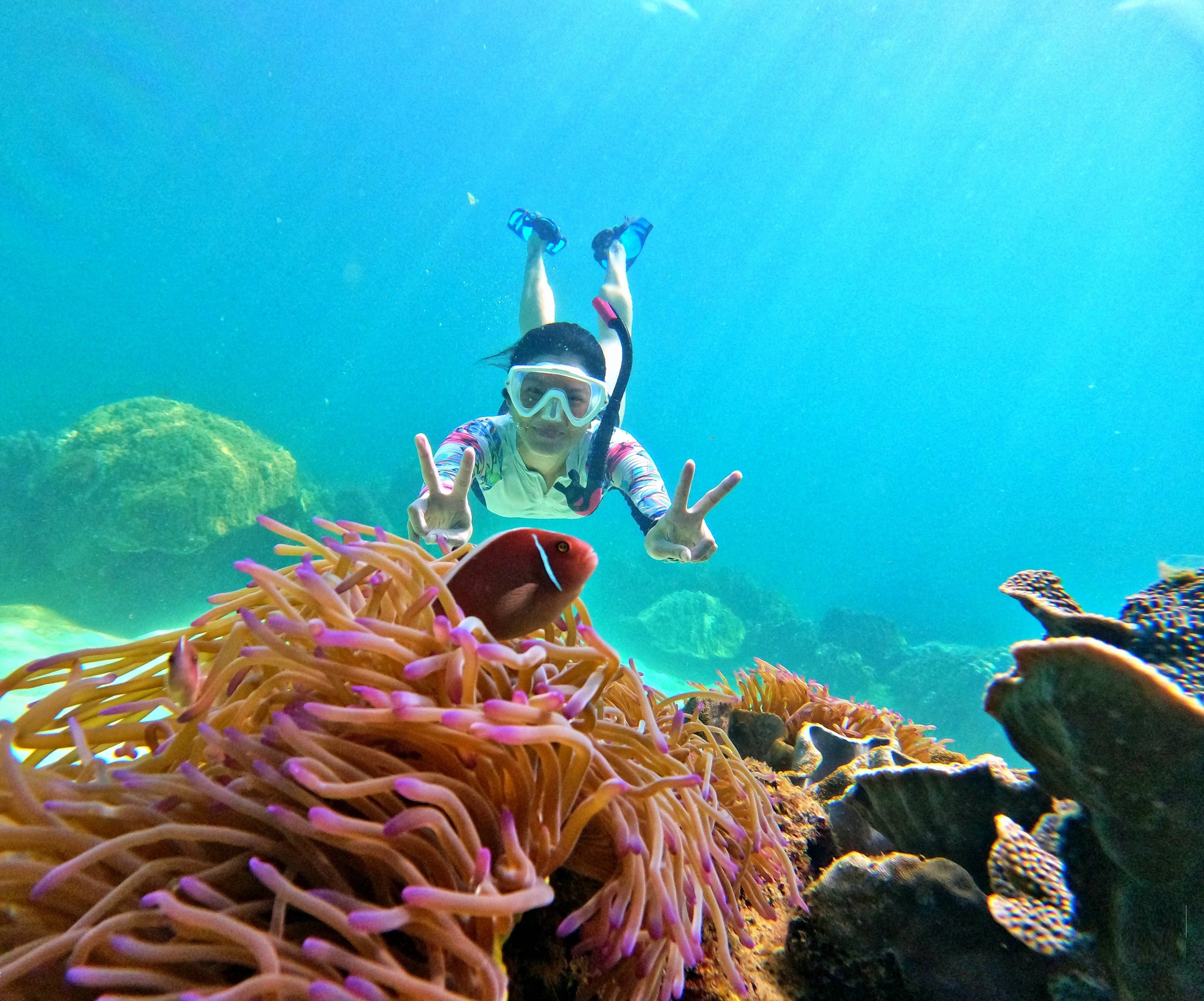 Phu Quoc Snorkeling Day Tour to Explore Coral Jungle Reef