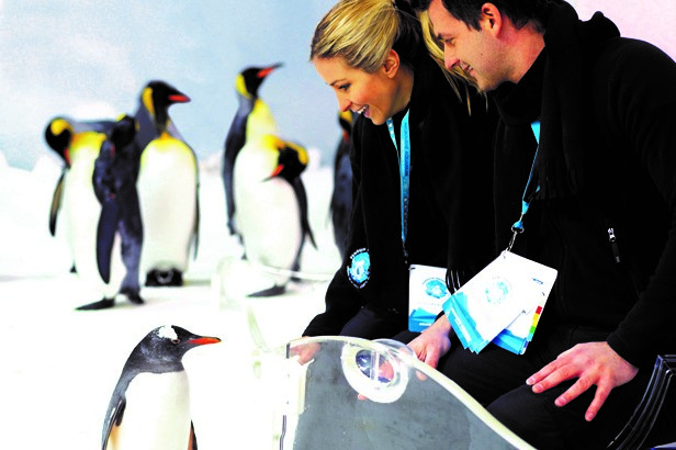 墨爾本海洋生物水族館「企鵝王國之旅」護照